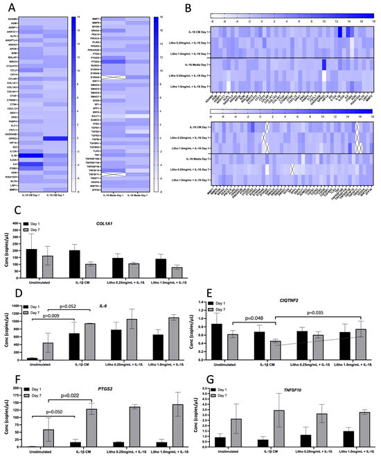 Pharmaceuticals 18 00315 g004