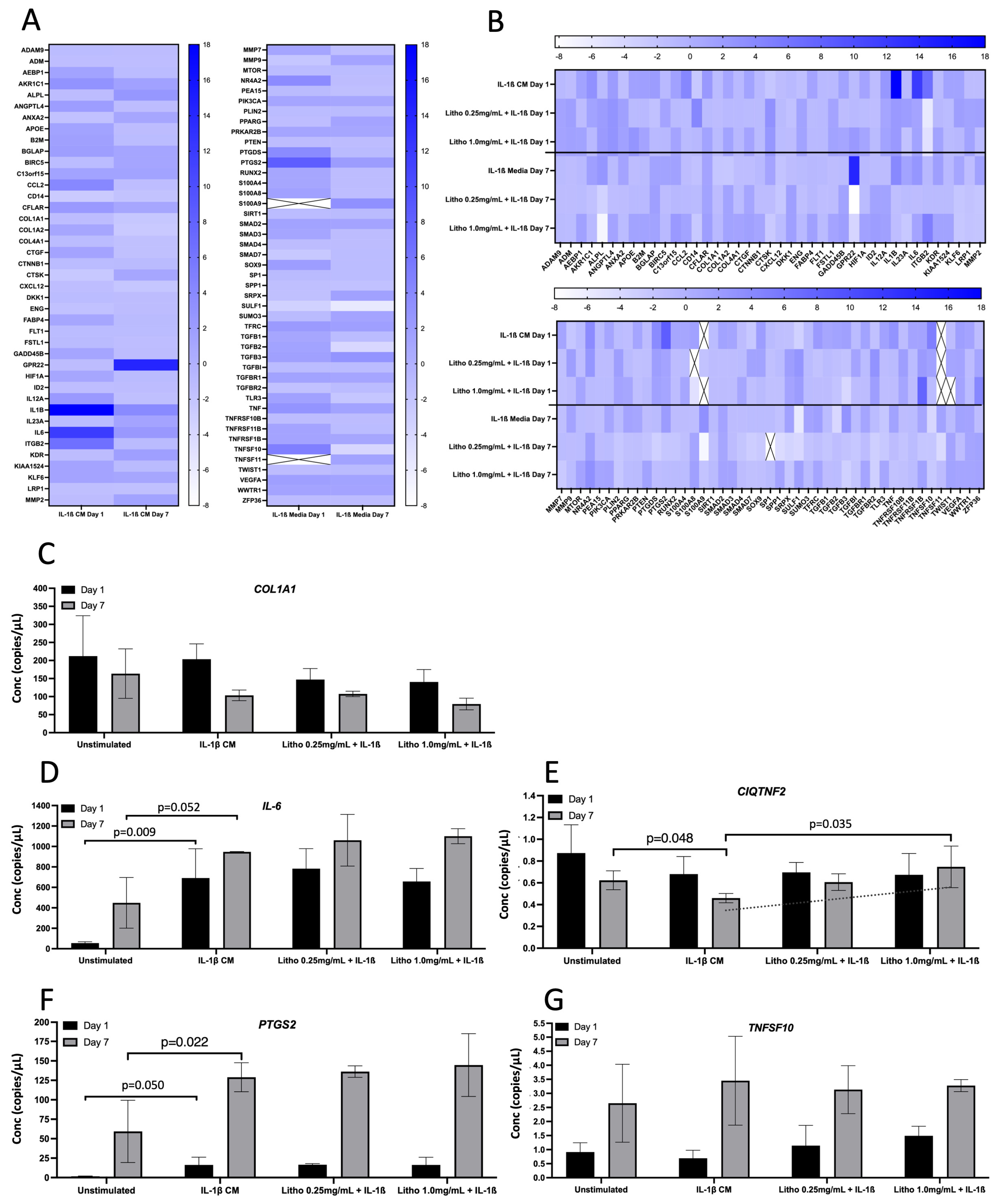 Pharmaceuticals 18 00315 g004 Pharmaceuticals 18 00315 g004