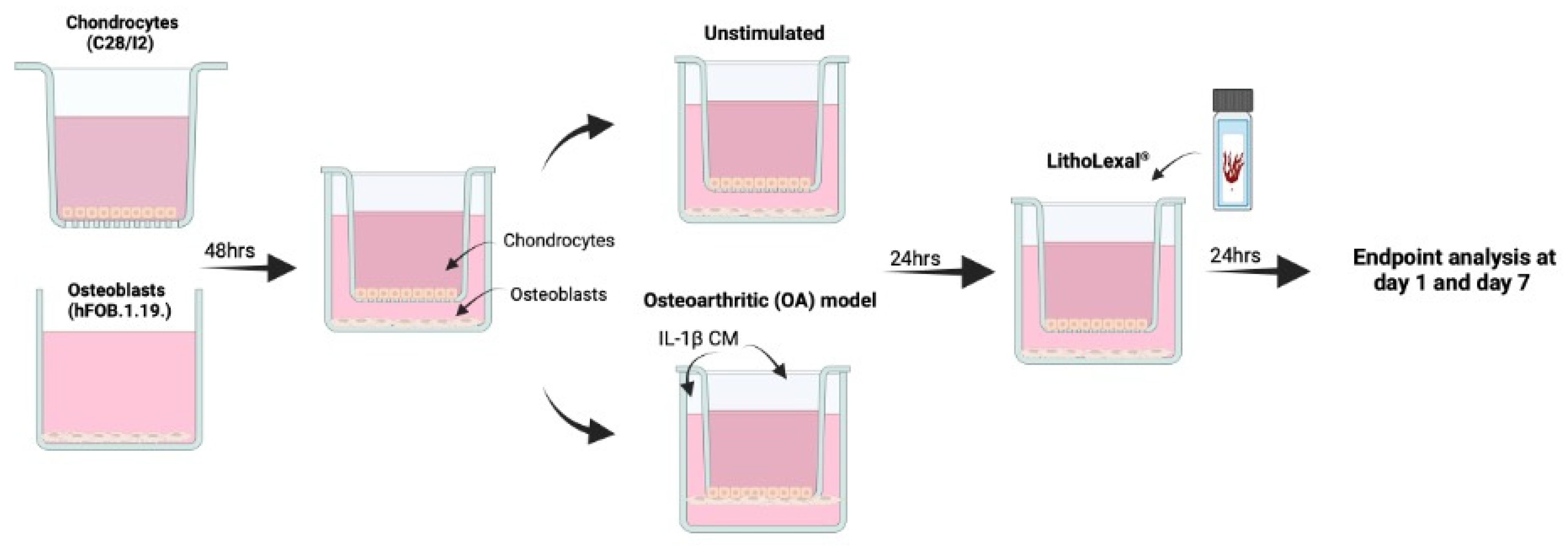 Pharmaceuticals 18 00315 g005 Pharmaceuticals 18 00315 g005