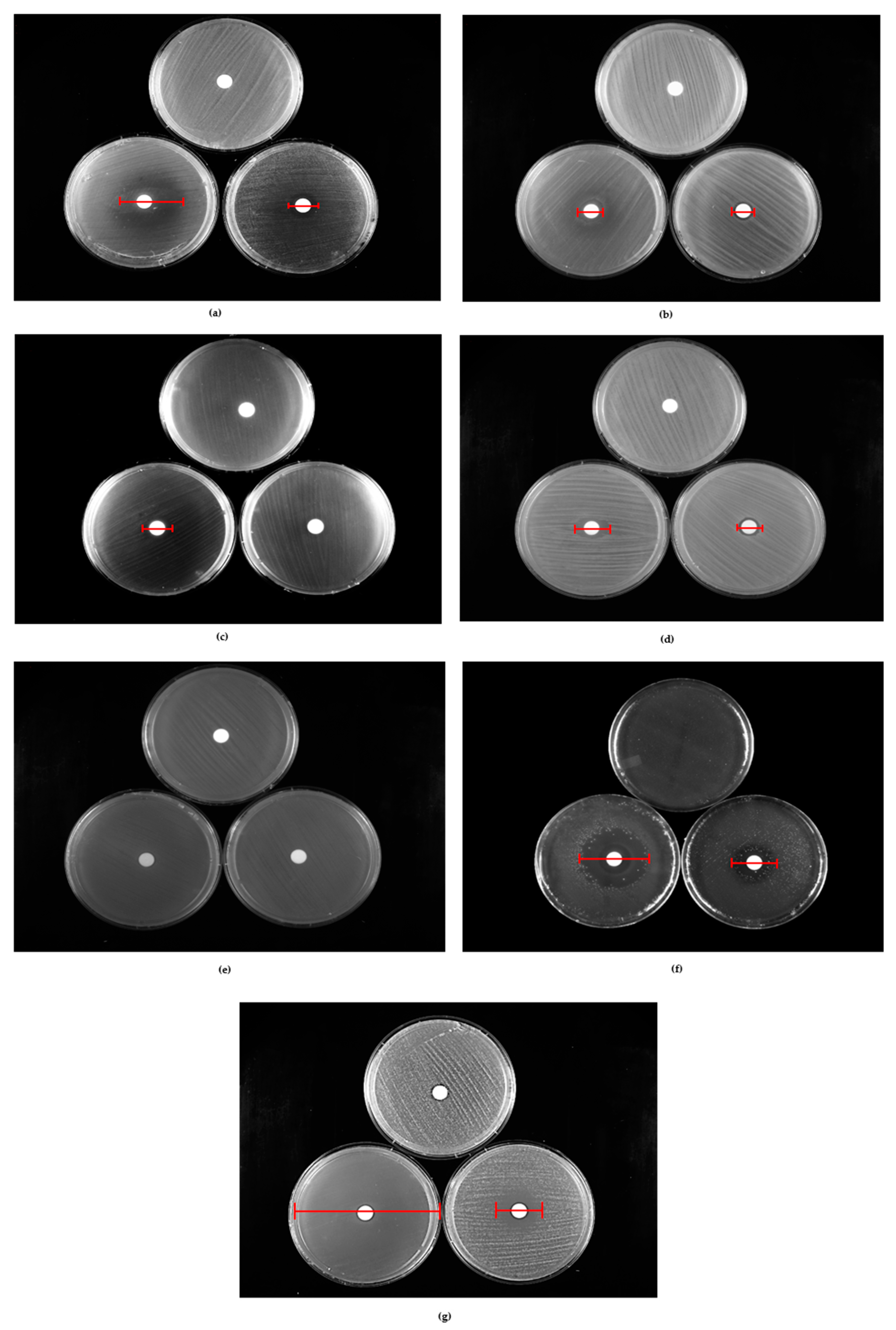 Pharmaceuticals 18 00321 g002