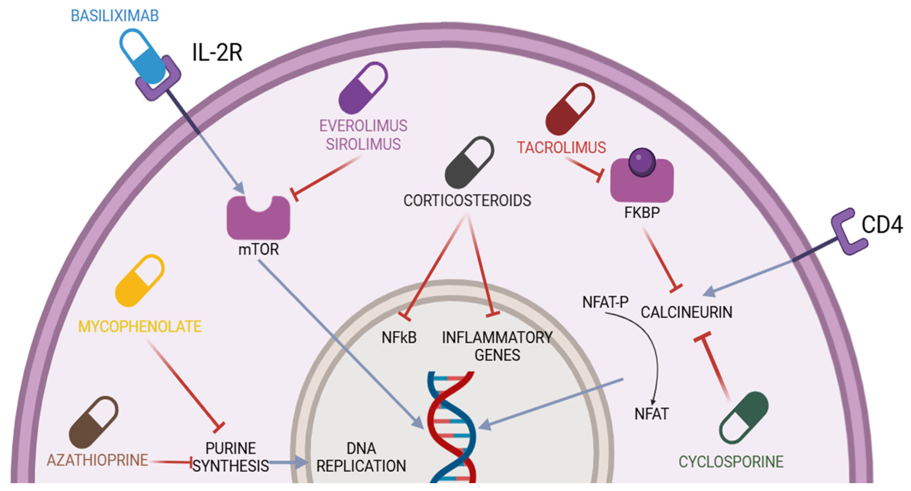 Pharmaceuticals 18 00342 g001