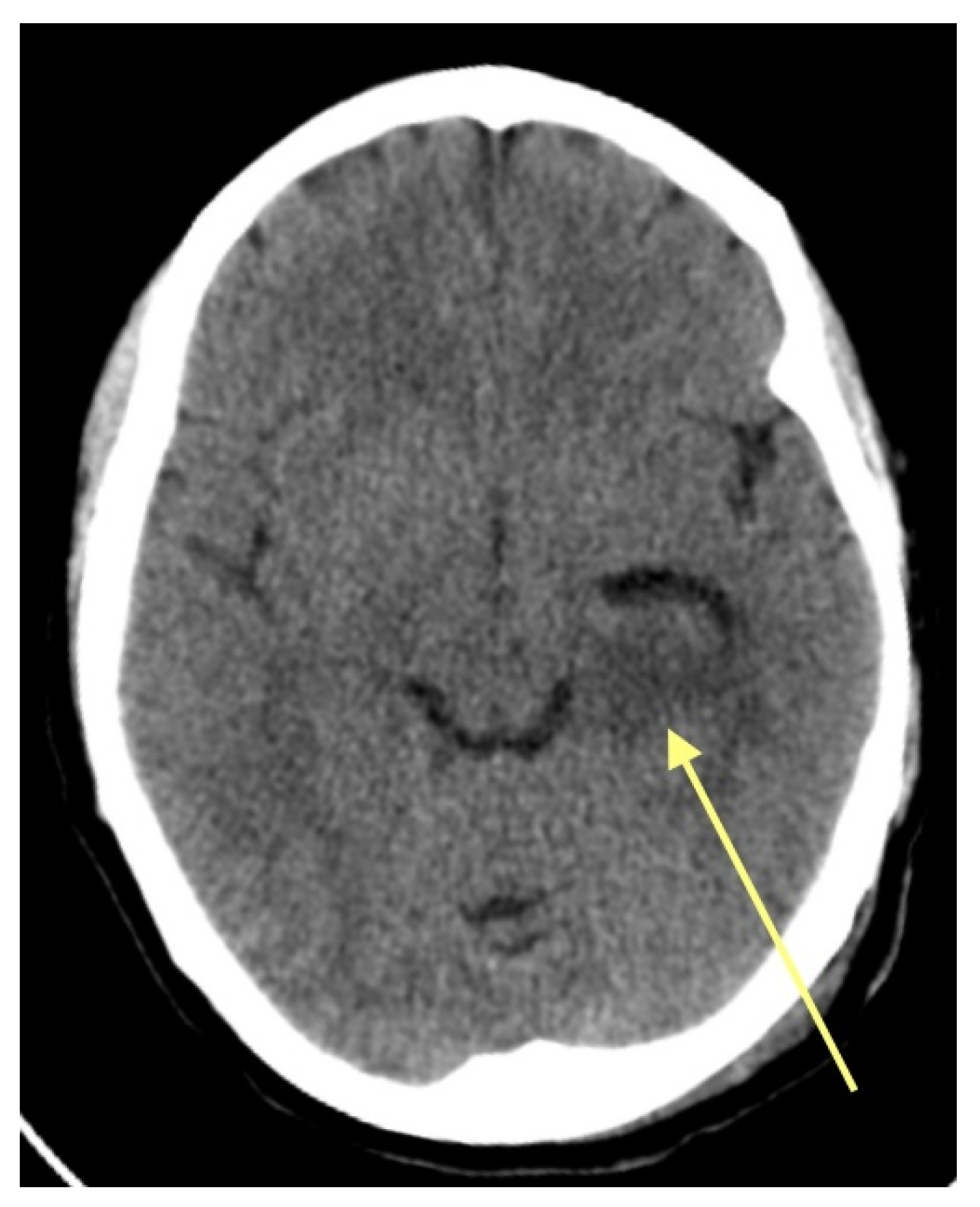 Pharmaceuticals 18 00349 g001