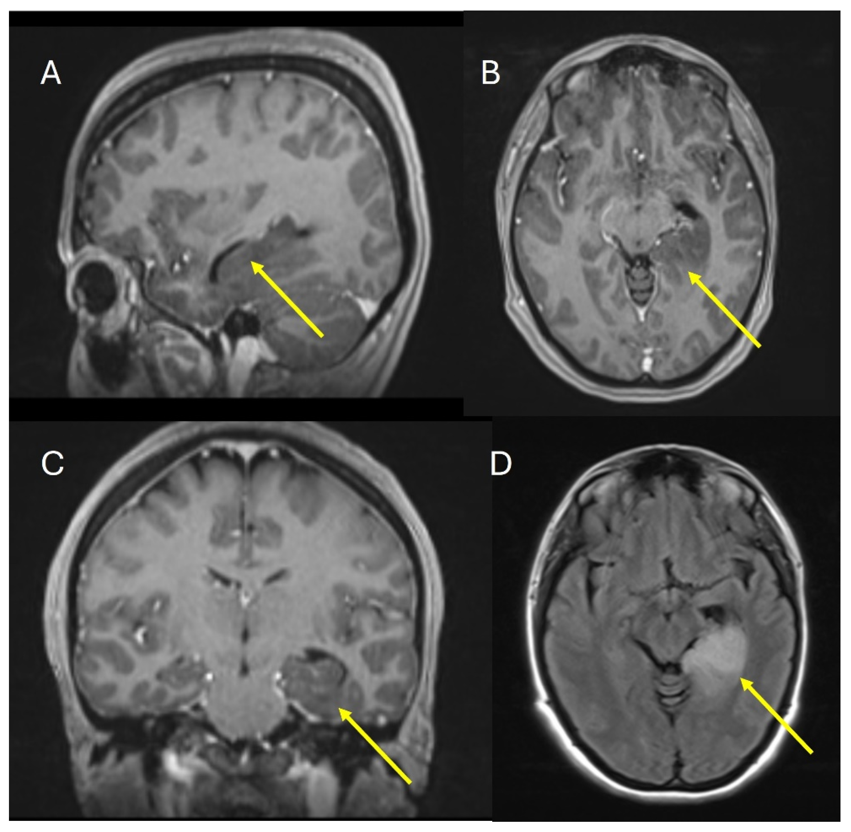 Pharmaceuticals 18 00349 g002