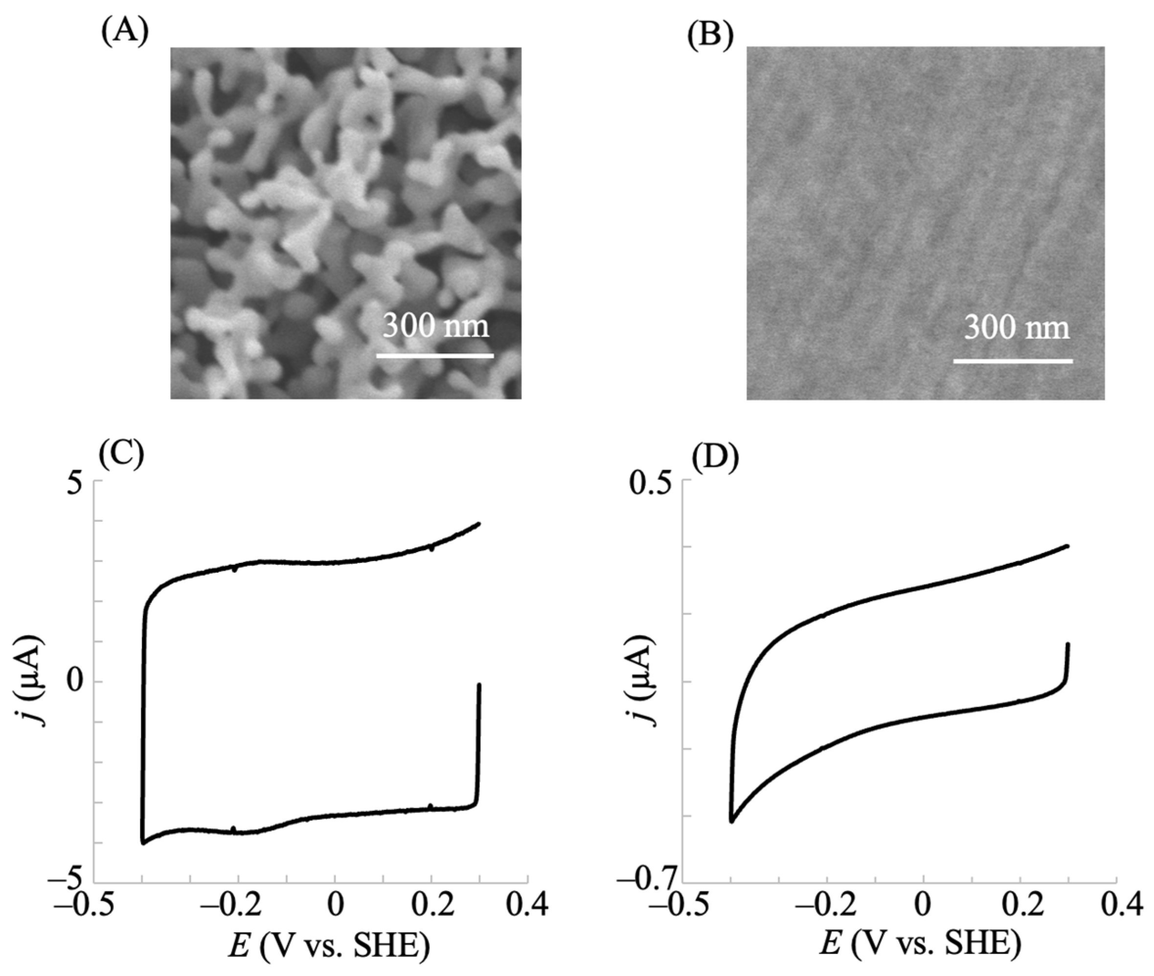 Pharmaceuticals 18 00352 g001