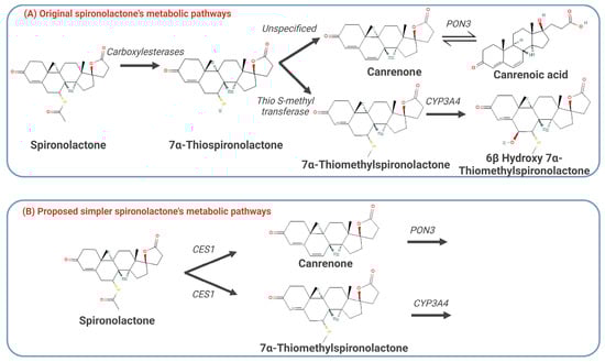 Pharmaceuticals 18 00355 g002