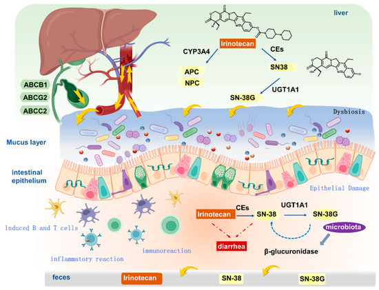 Pharmaceuticals 18 00359 g002