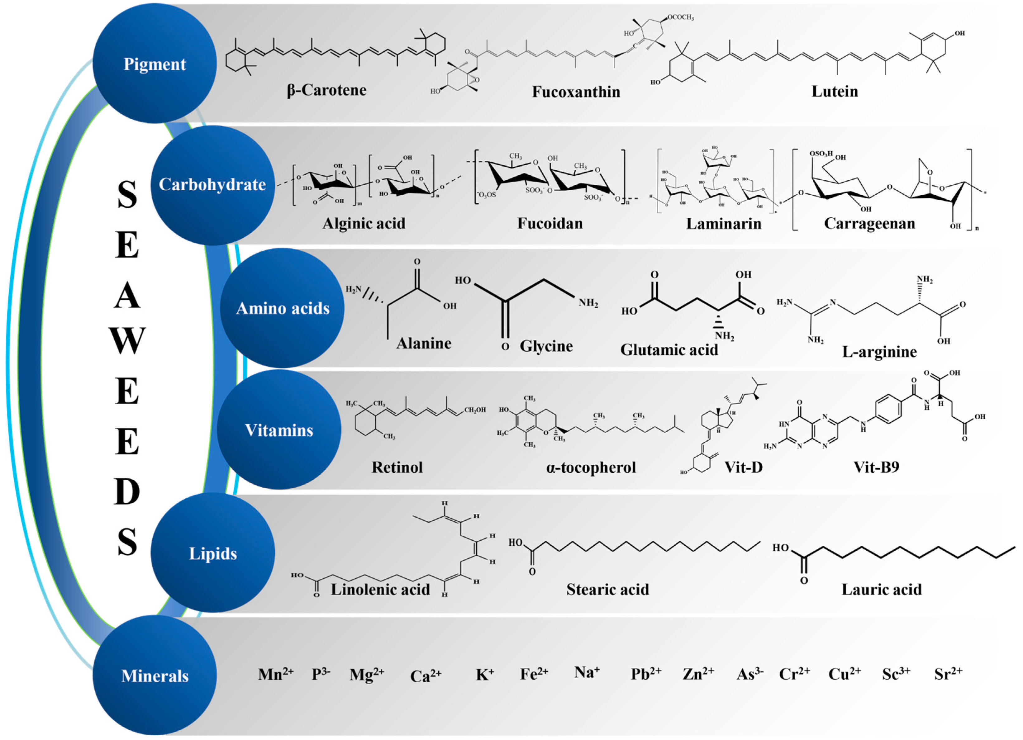 Pharmaceuticals 18 00367 g001