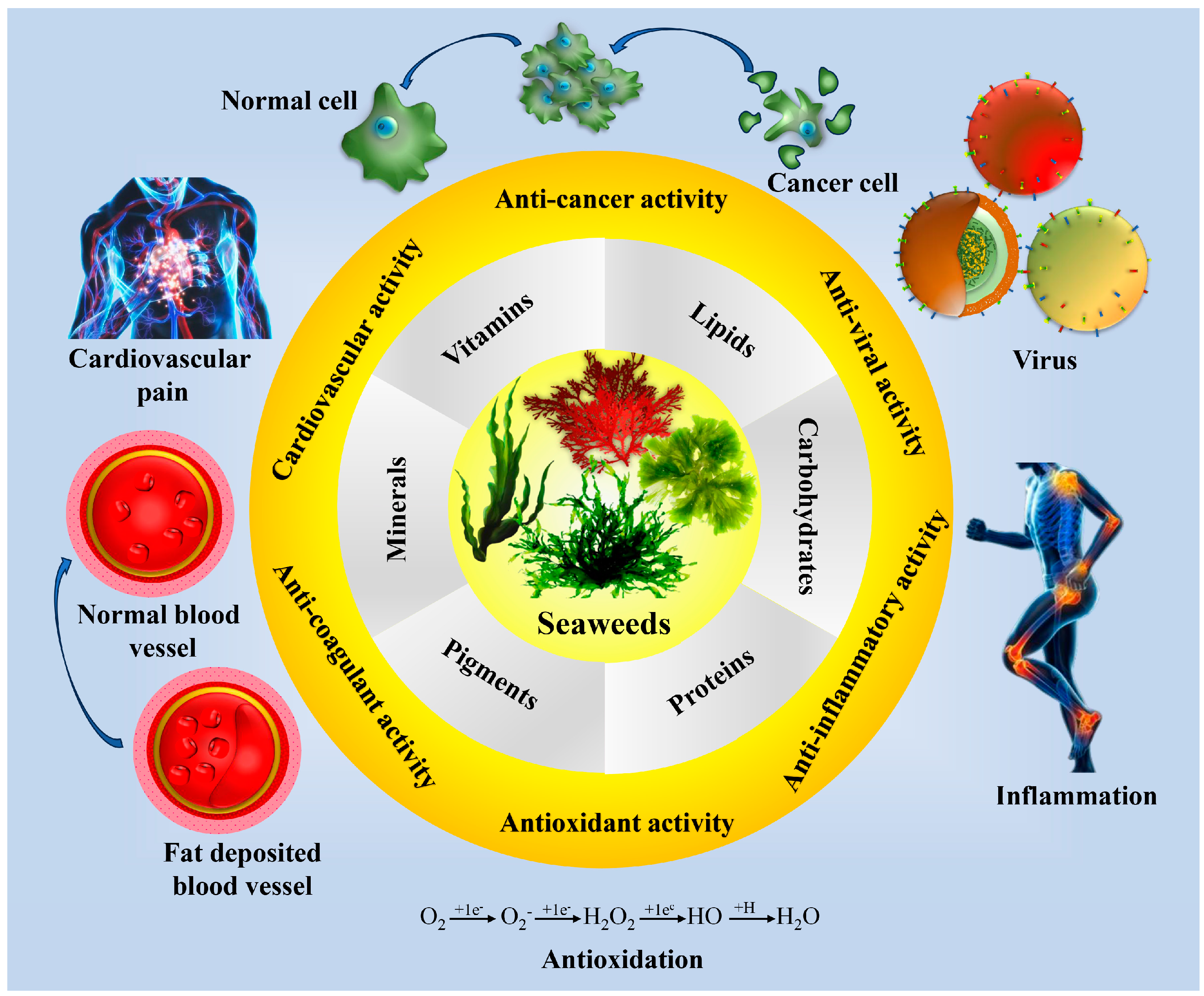 Pharmaceuticals 18 00367 g002