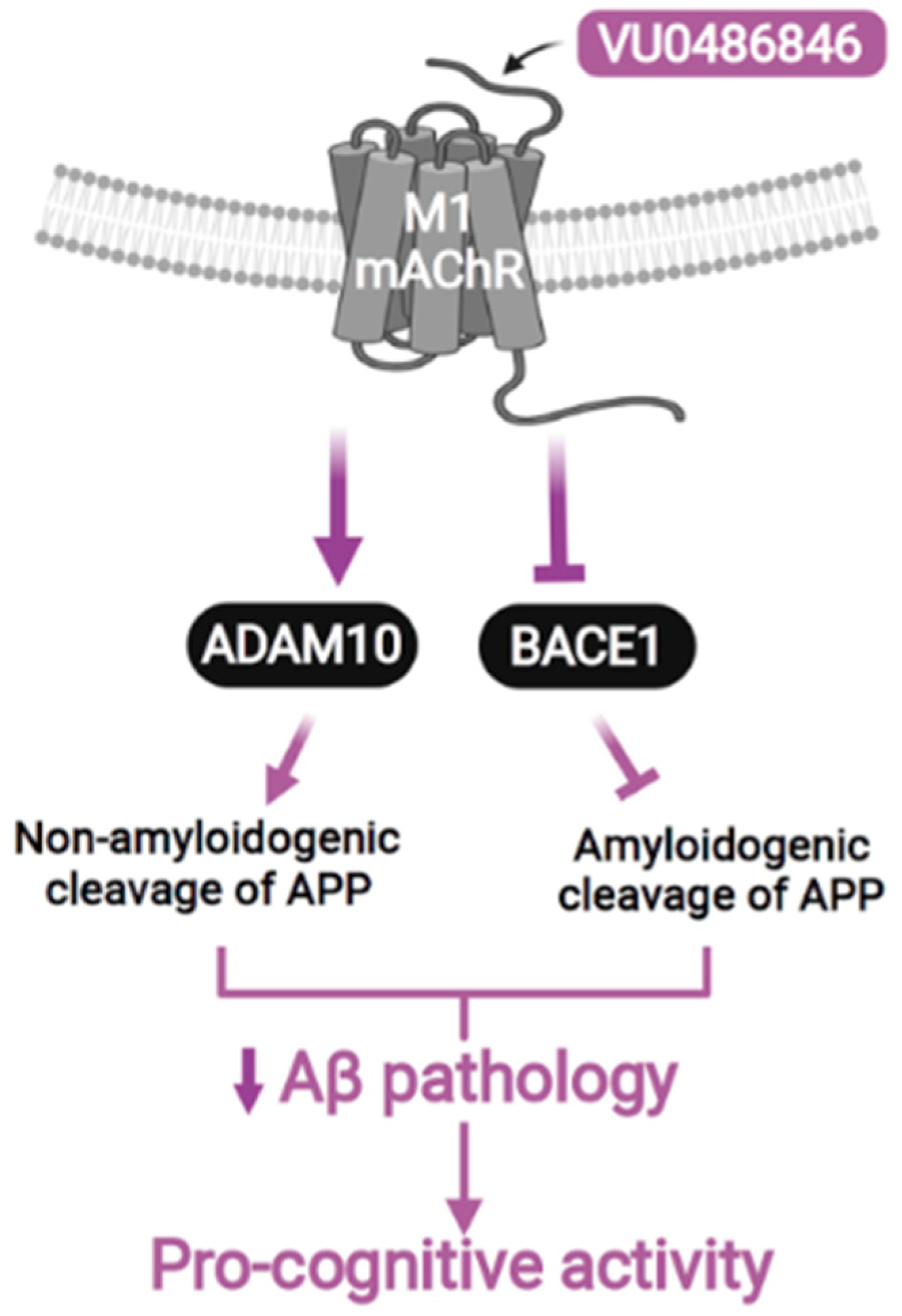 Pharmaceuticals 18 00369 g009