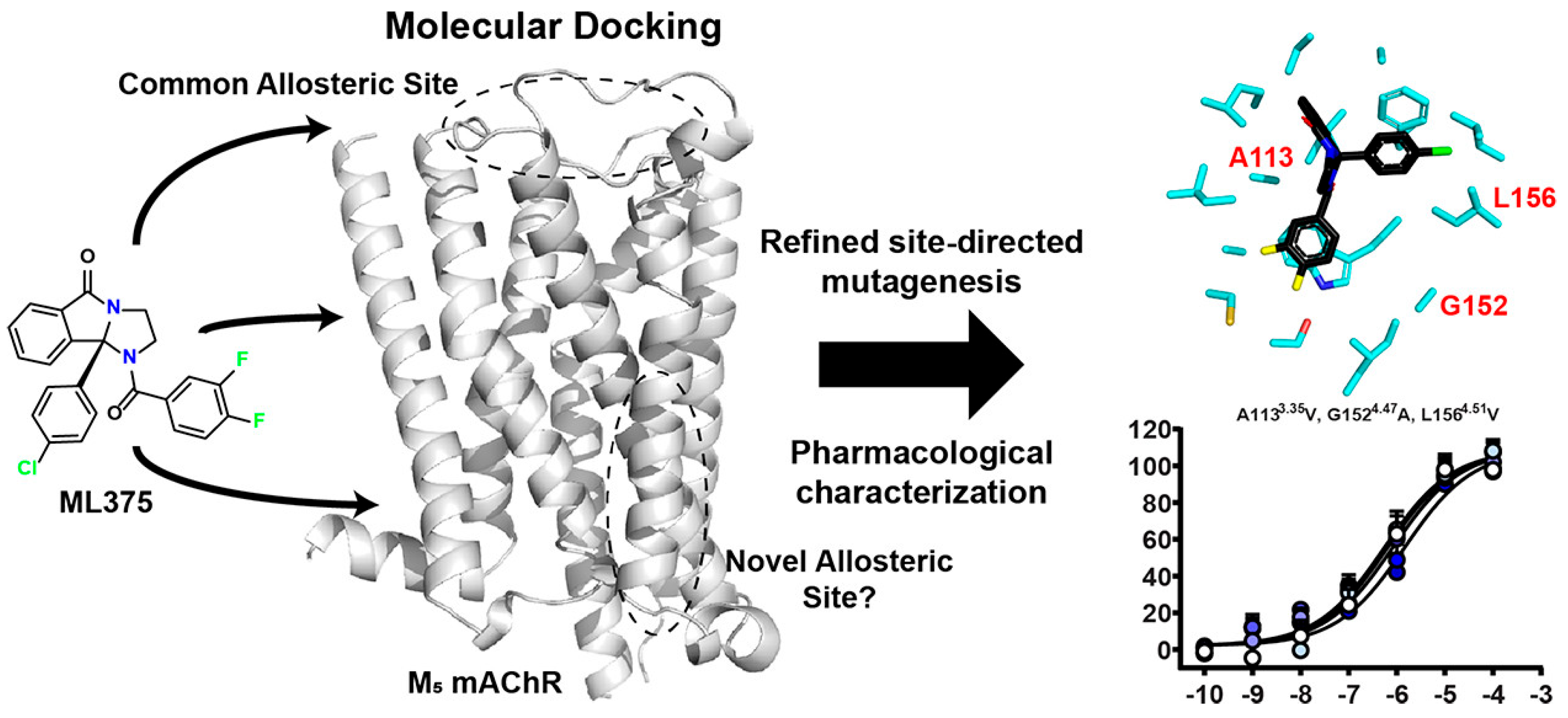 Pharmaceuticals 18 00369 g018