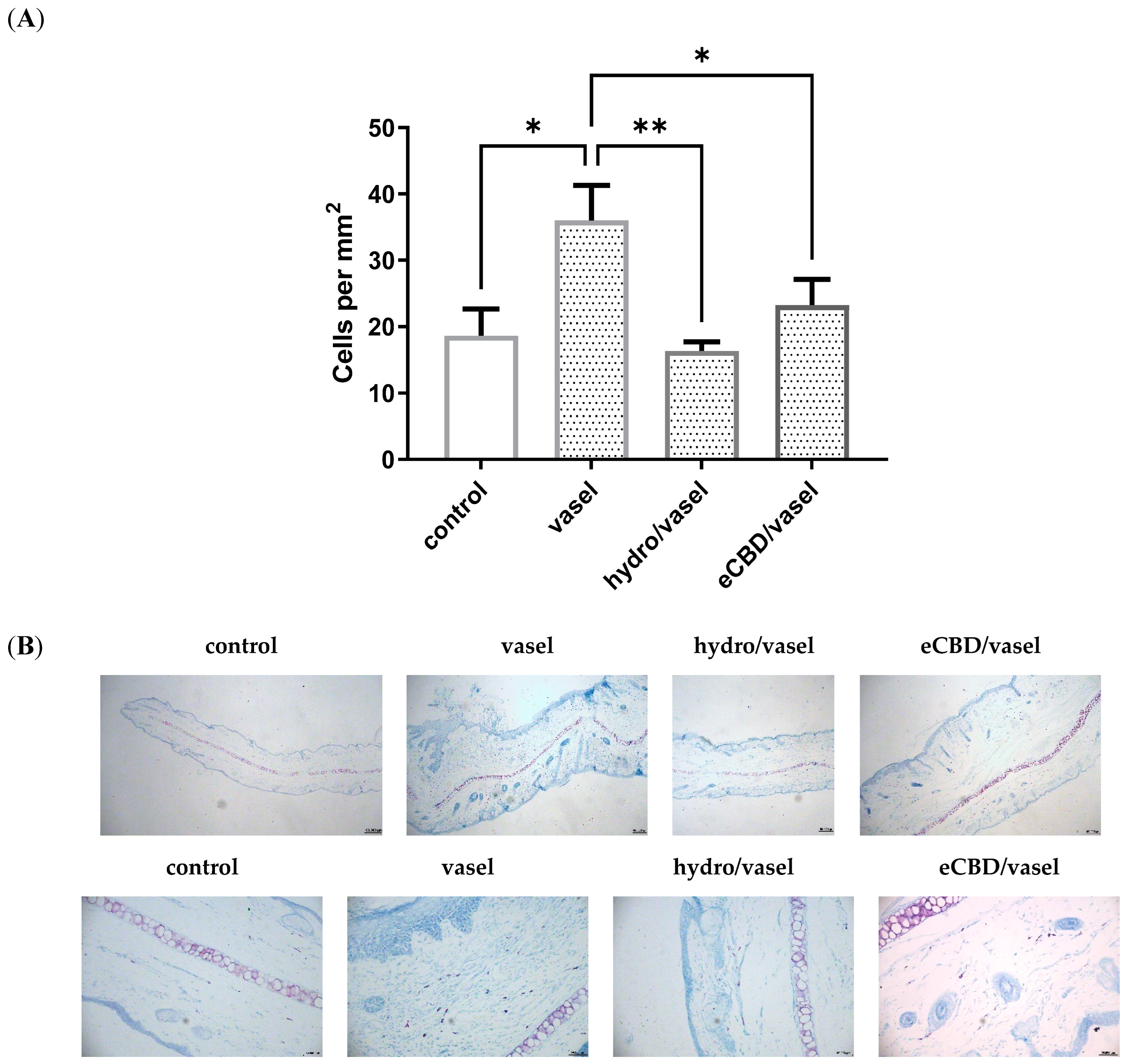 Pharmaceuticals 18 00370 g006