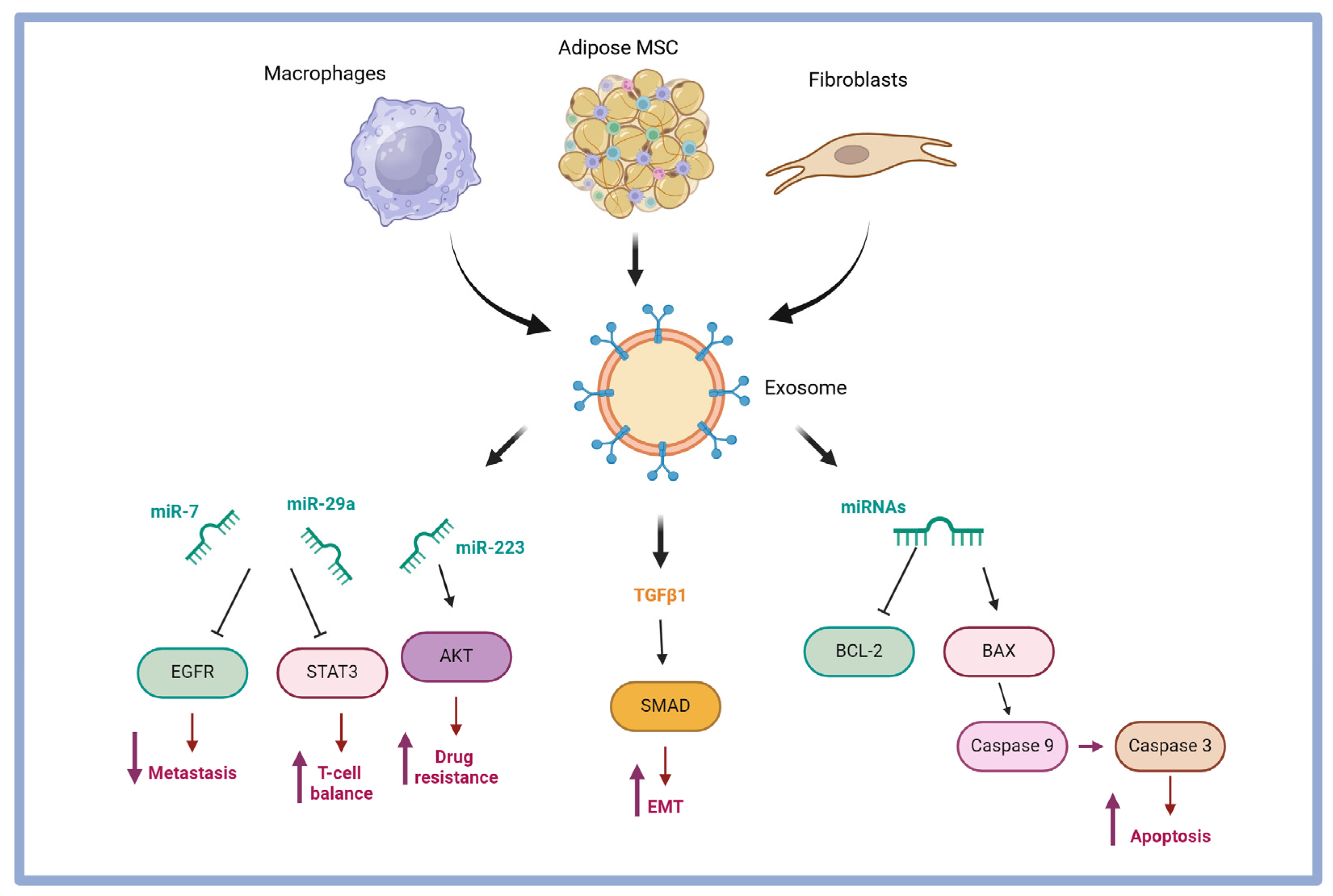 Pharmaceuticals 18 00371 g003