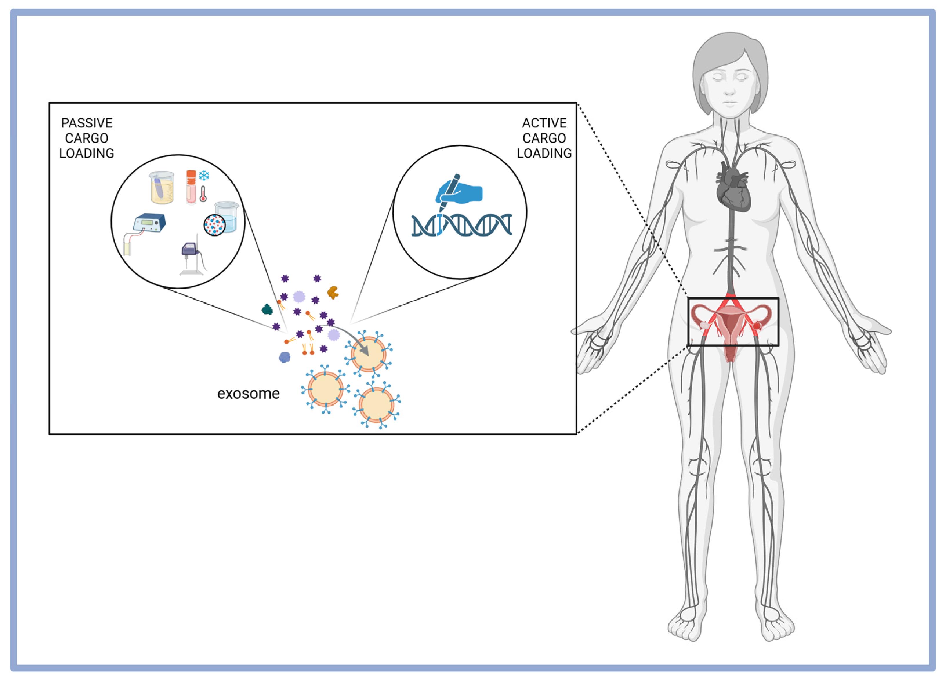 Pharmaceuticals 18 00371 g004