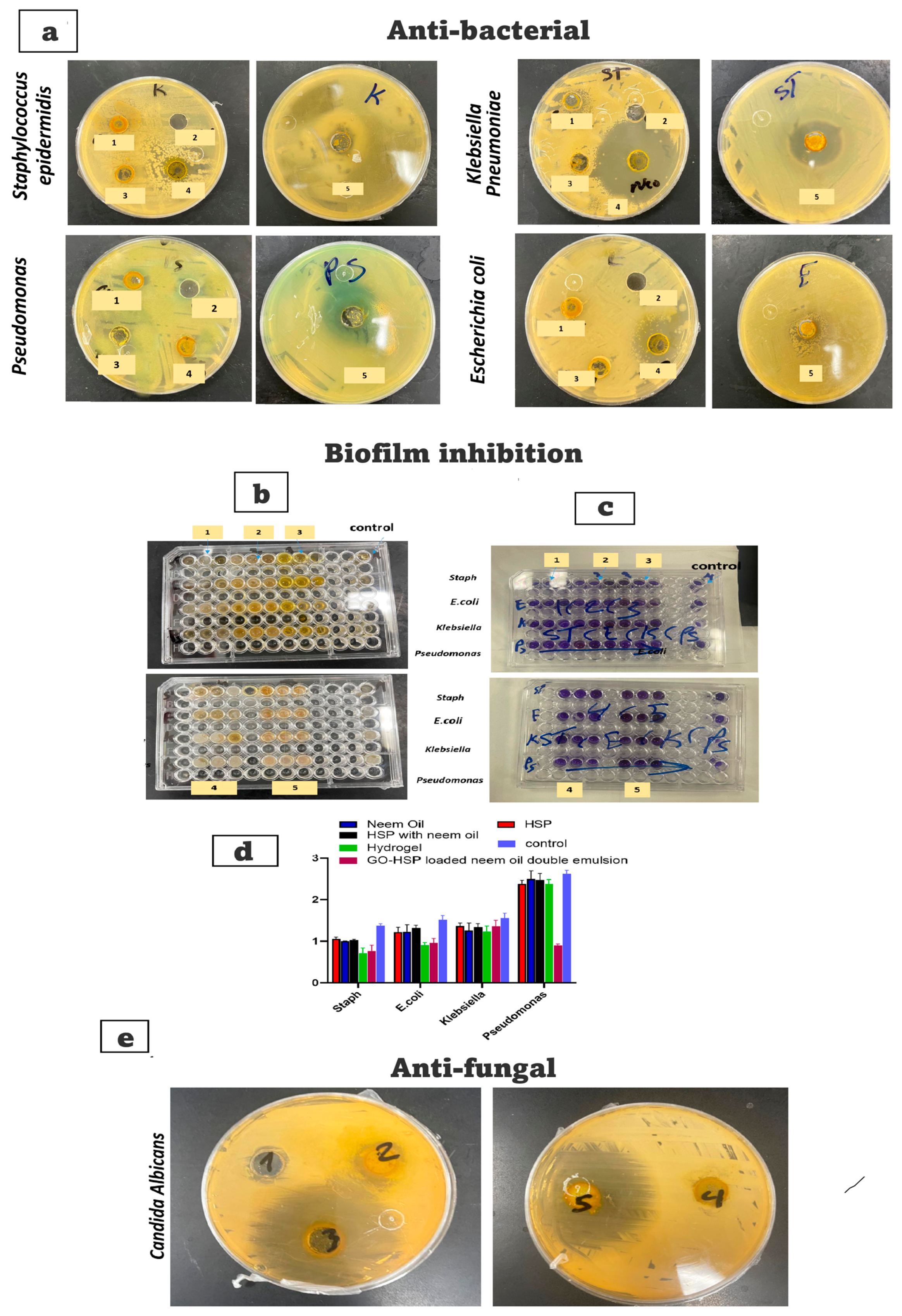 Pharmaceuticals 18 00381 g008