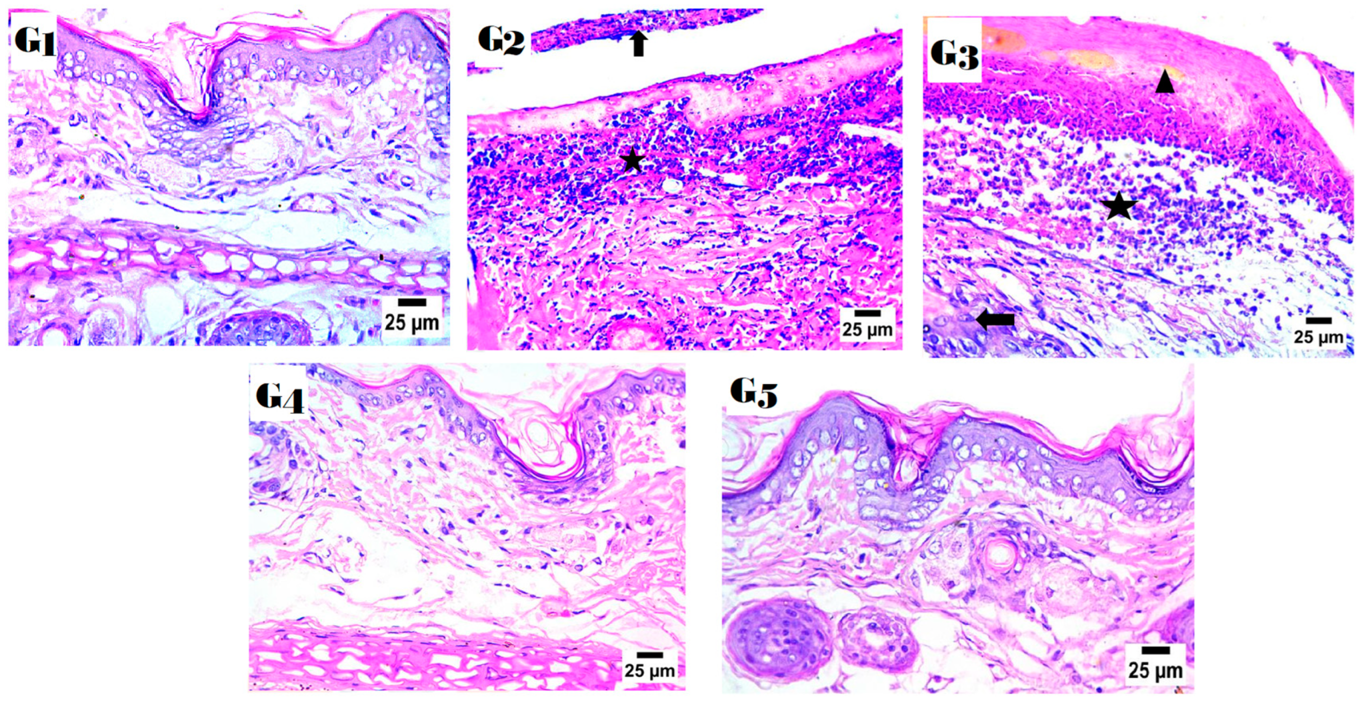 Pharmaceuticals 18 00381 g010