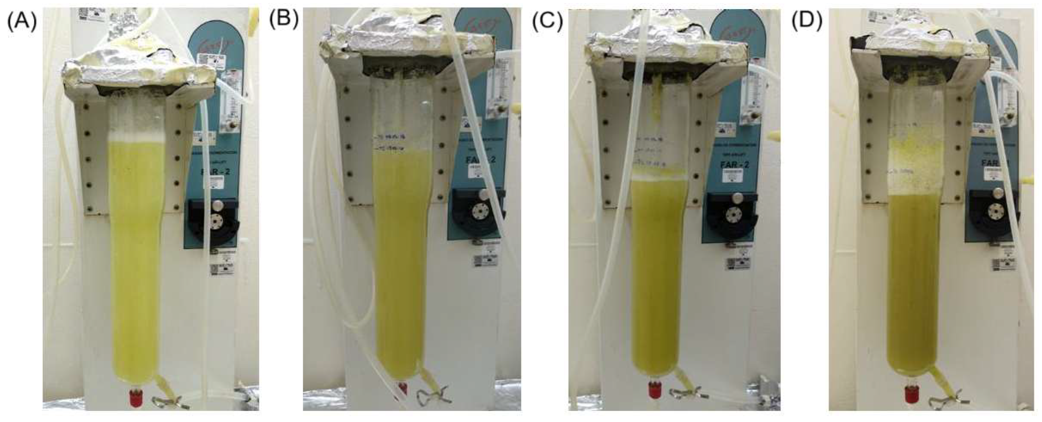 Pharmaceuticals 18 00383 g004