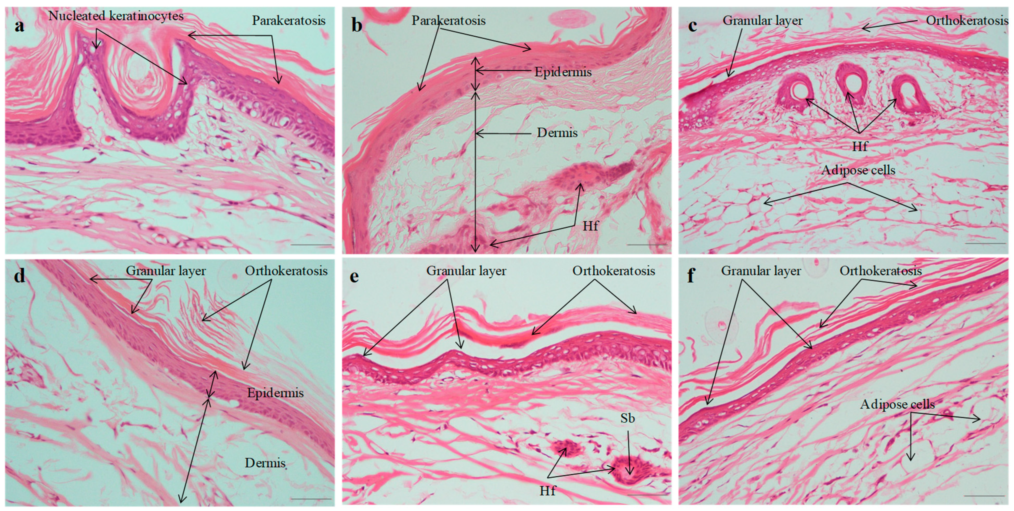 Pharmaceuticals 18 00391 g006
