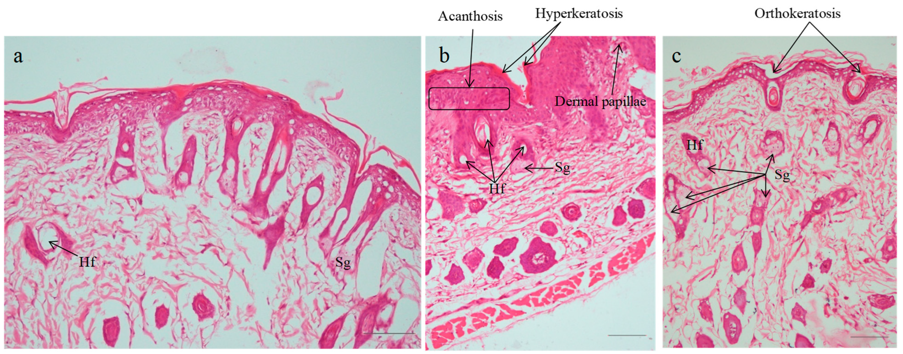 Pharmaceuticals 18 00391 g010