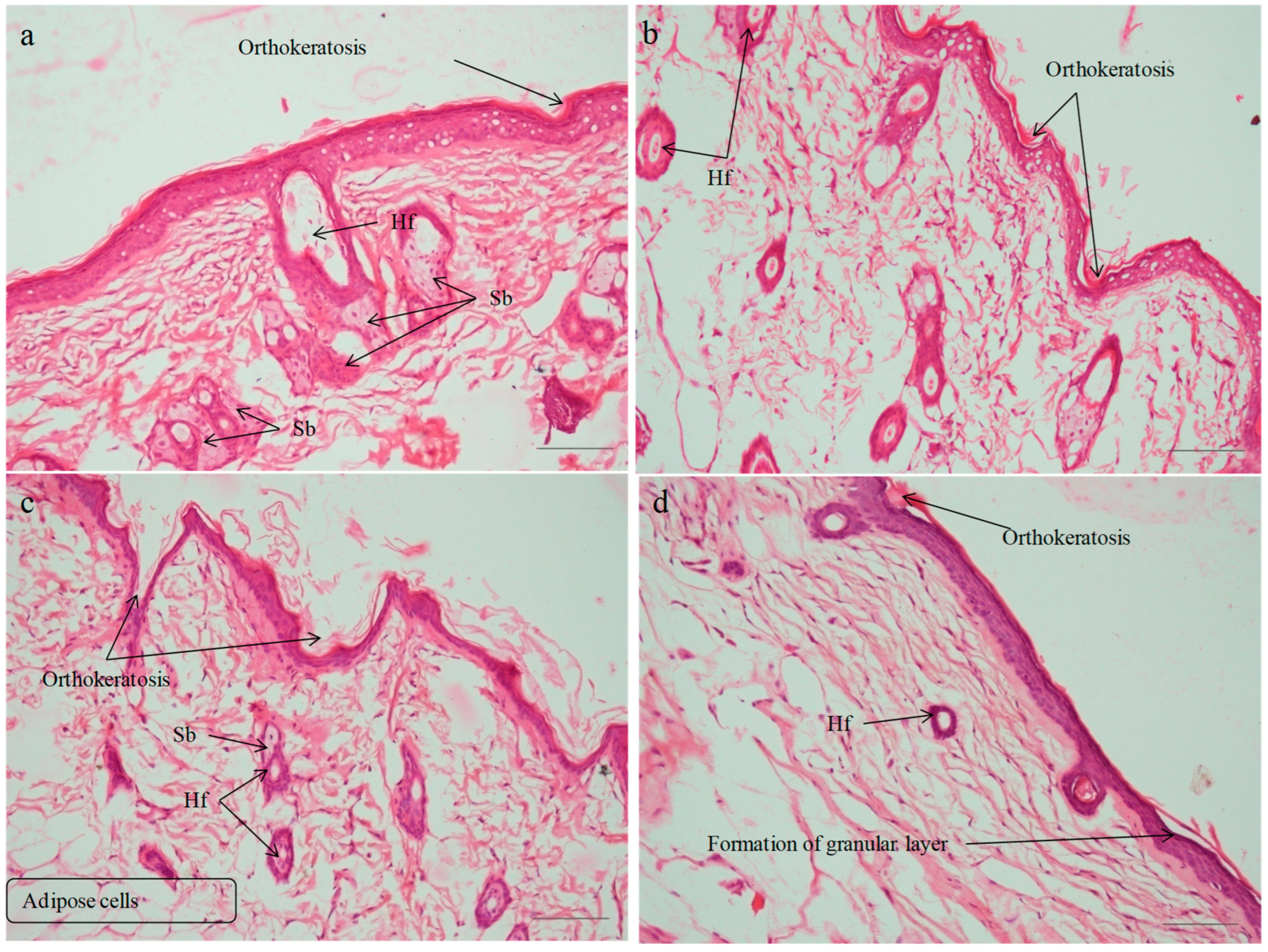 Pharmaceuticals 18 00391 g011