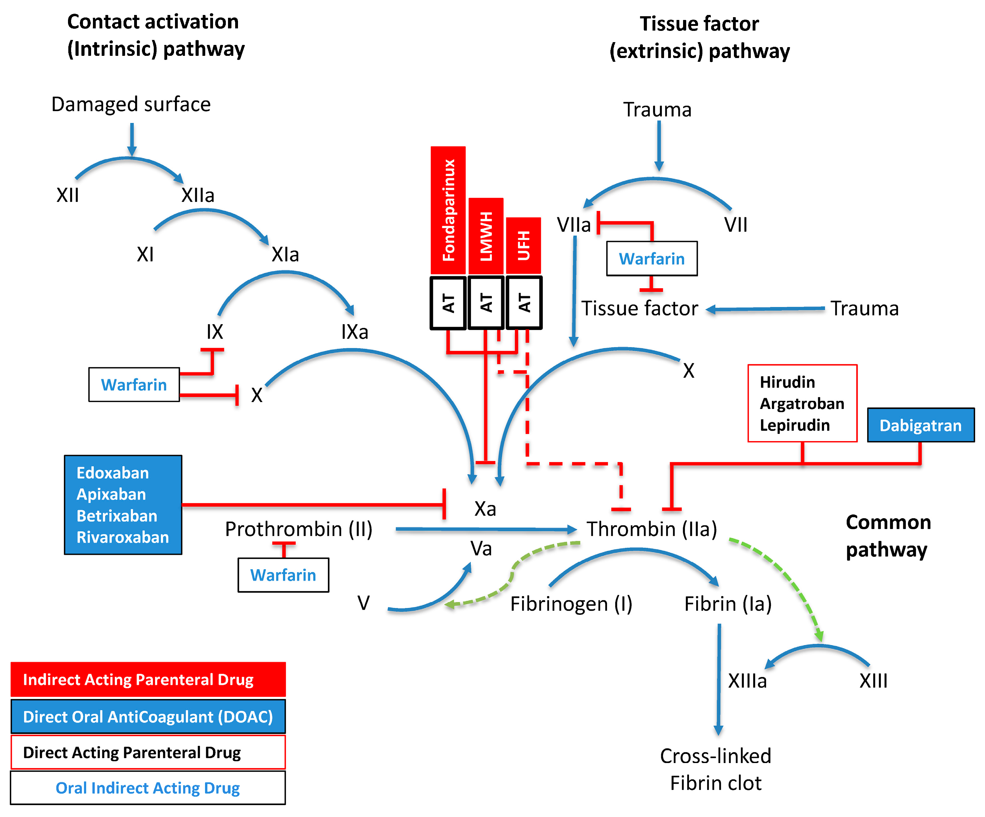 Pharmaceuticals 18 00396 g002
