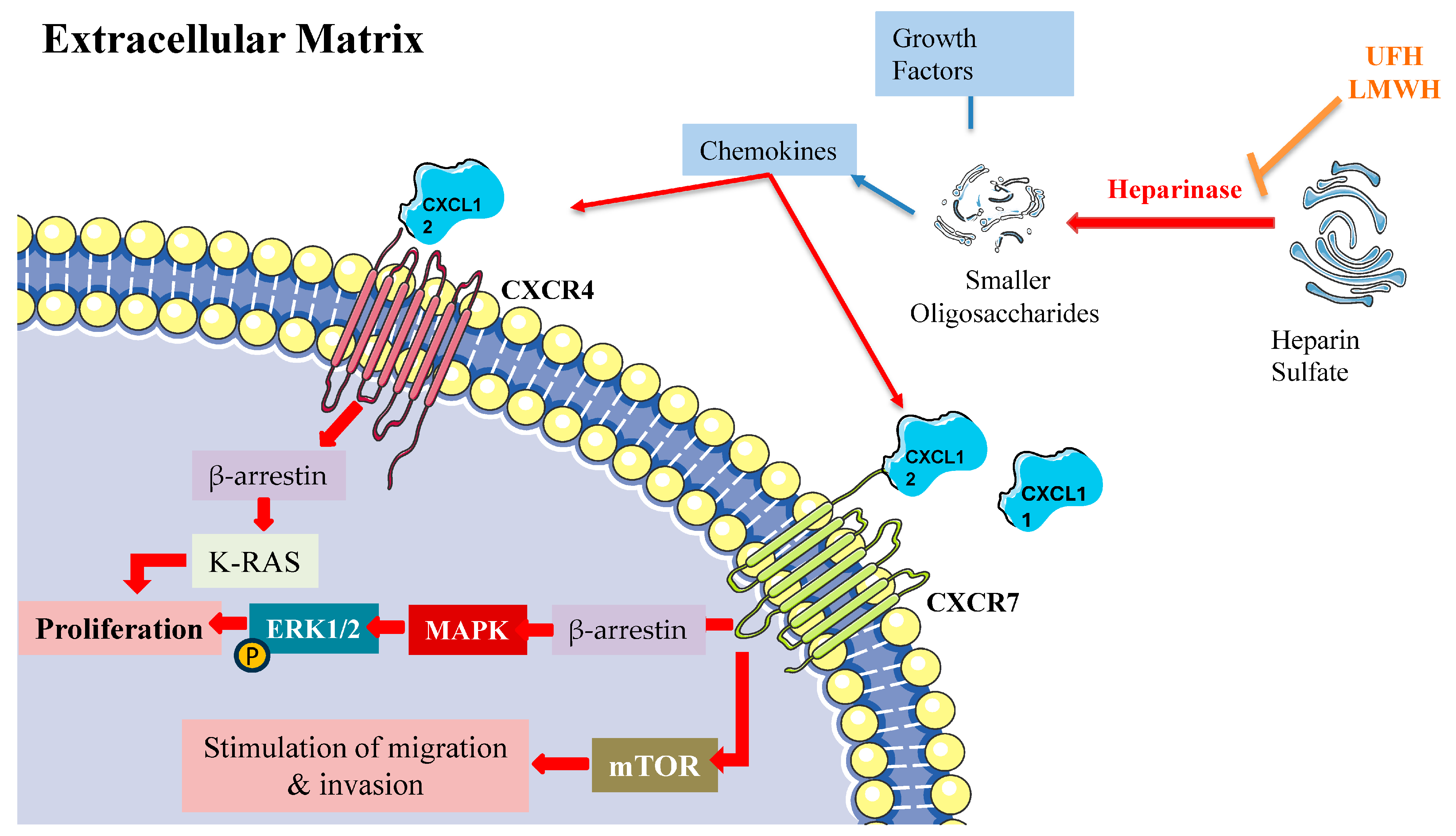 Pharmaceuticals 18 00396 g003