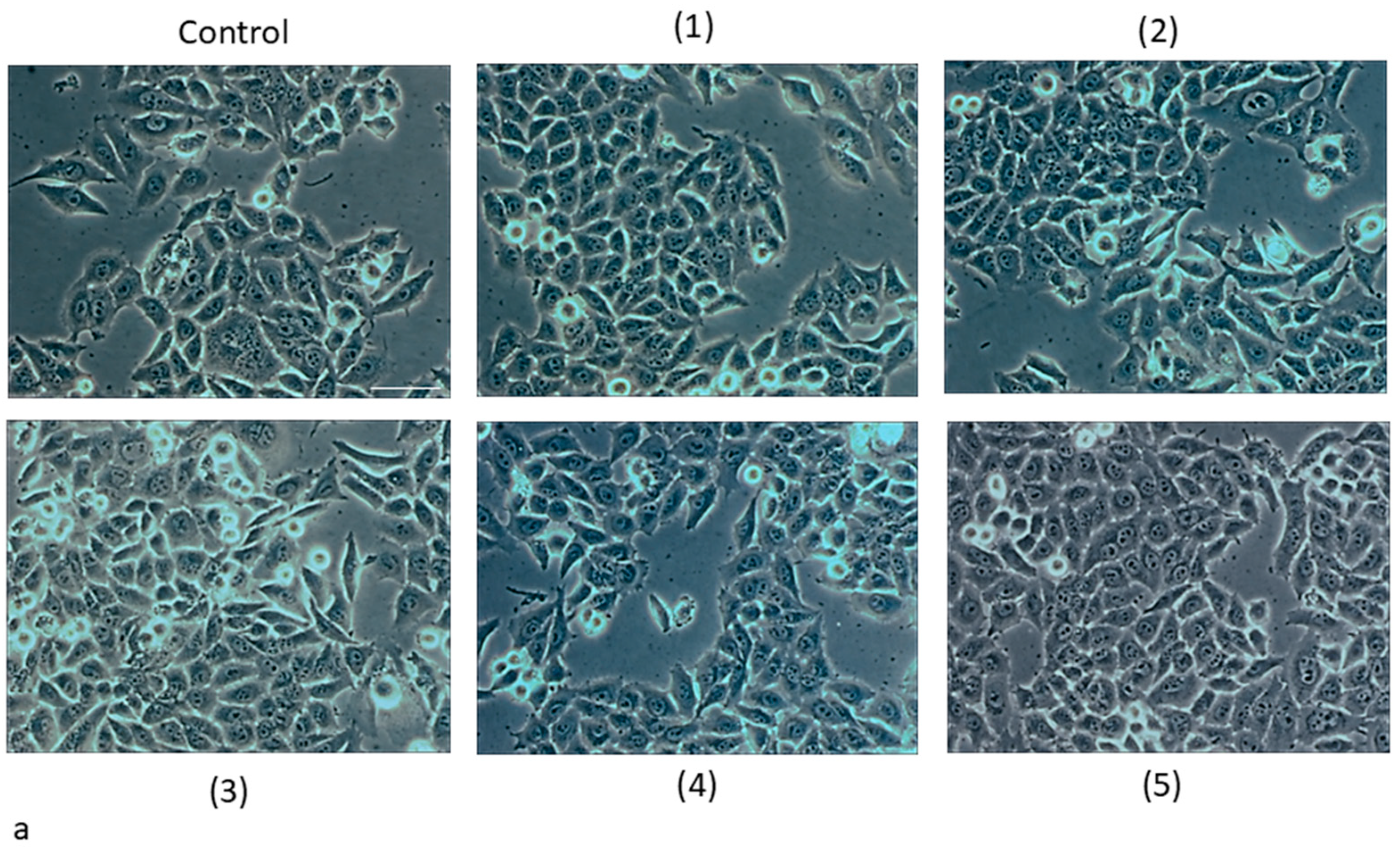 Pharmaceuticals 18 00397 g006a