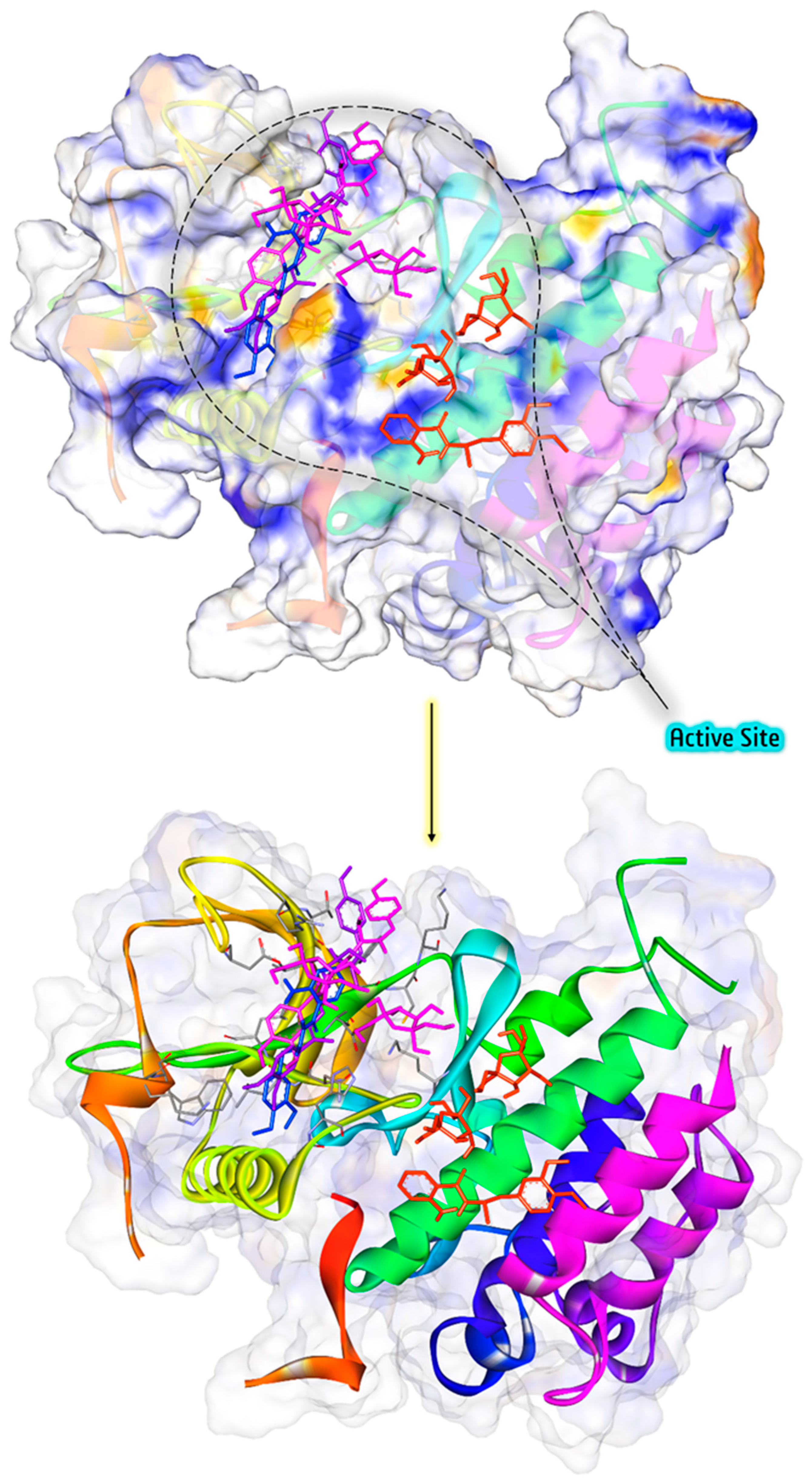 Pharmaceuticals 18 00397 g010