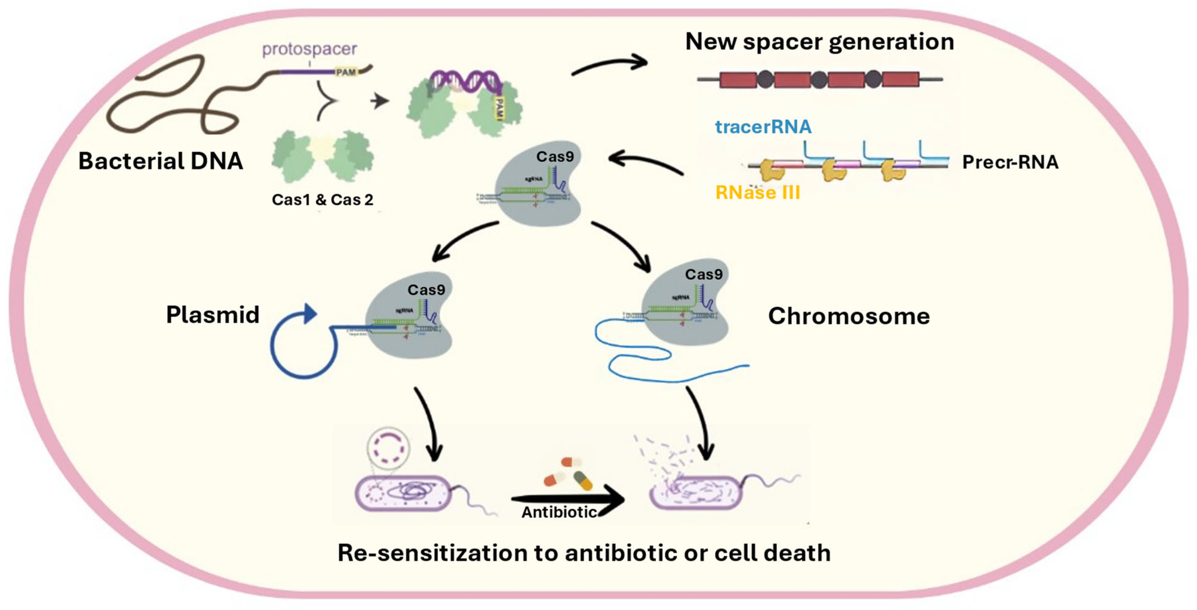 Pharmaceuticals 18 00402 g007
