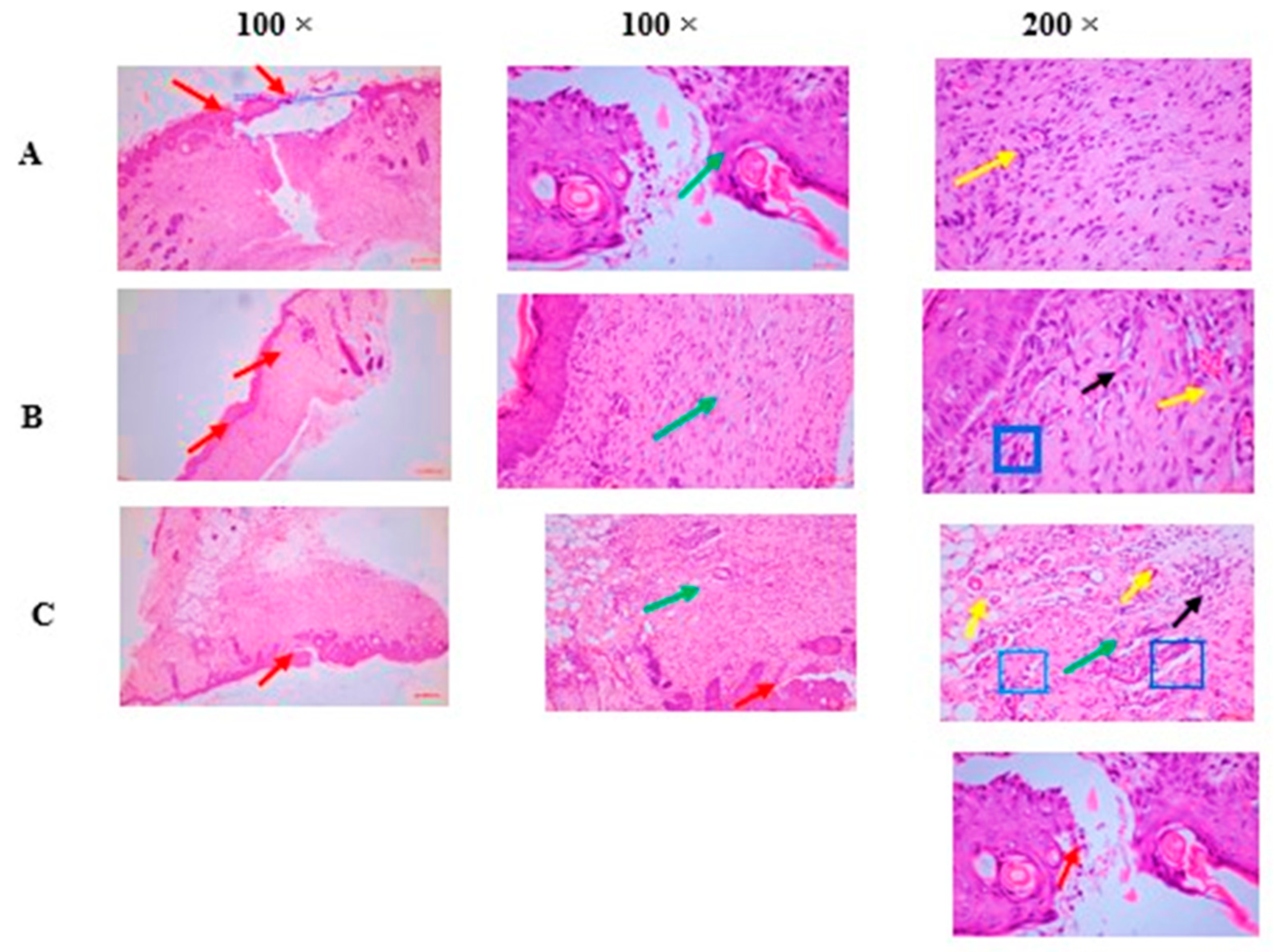 Pharmaceuticals 18 00407 g004