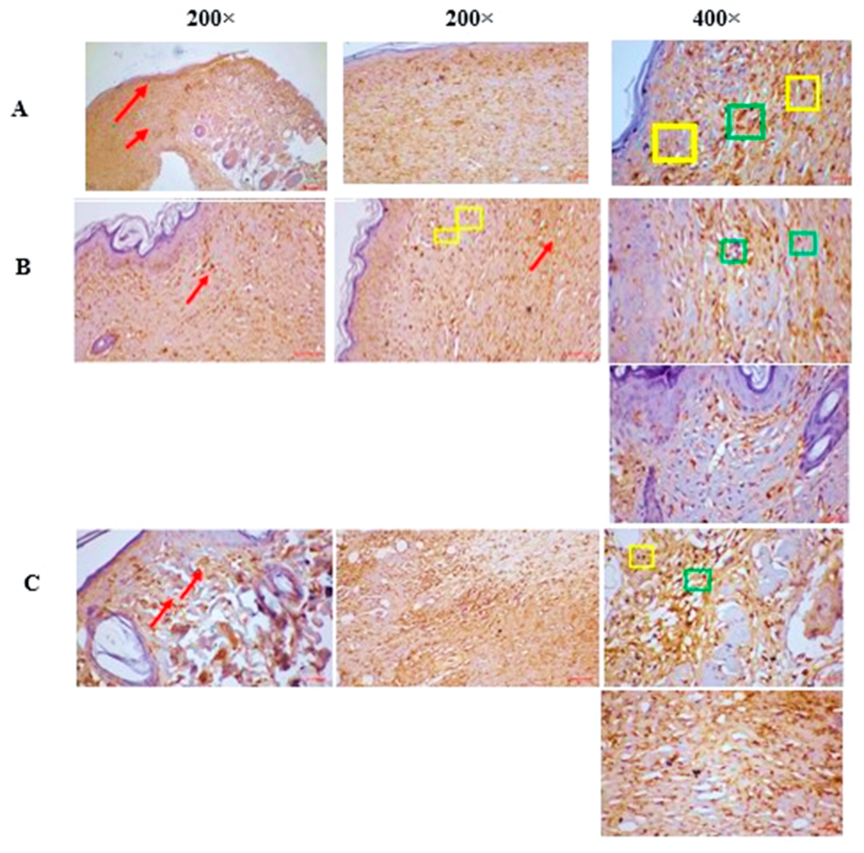 Pharmaceuticals 18 00407 g005
