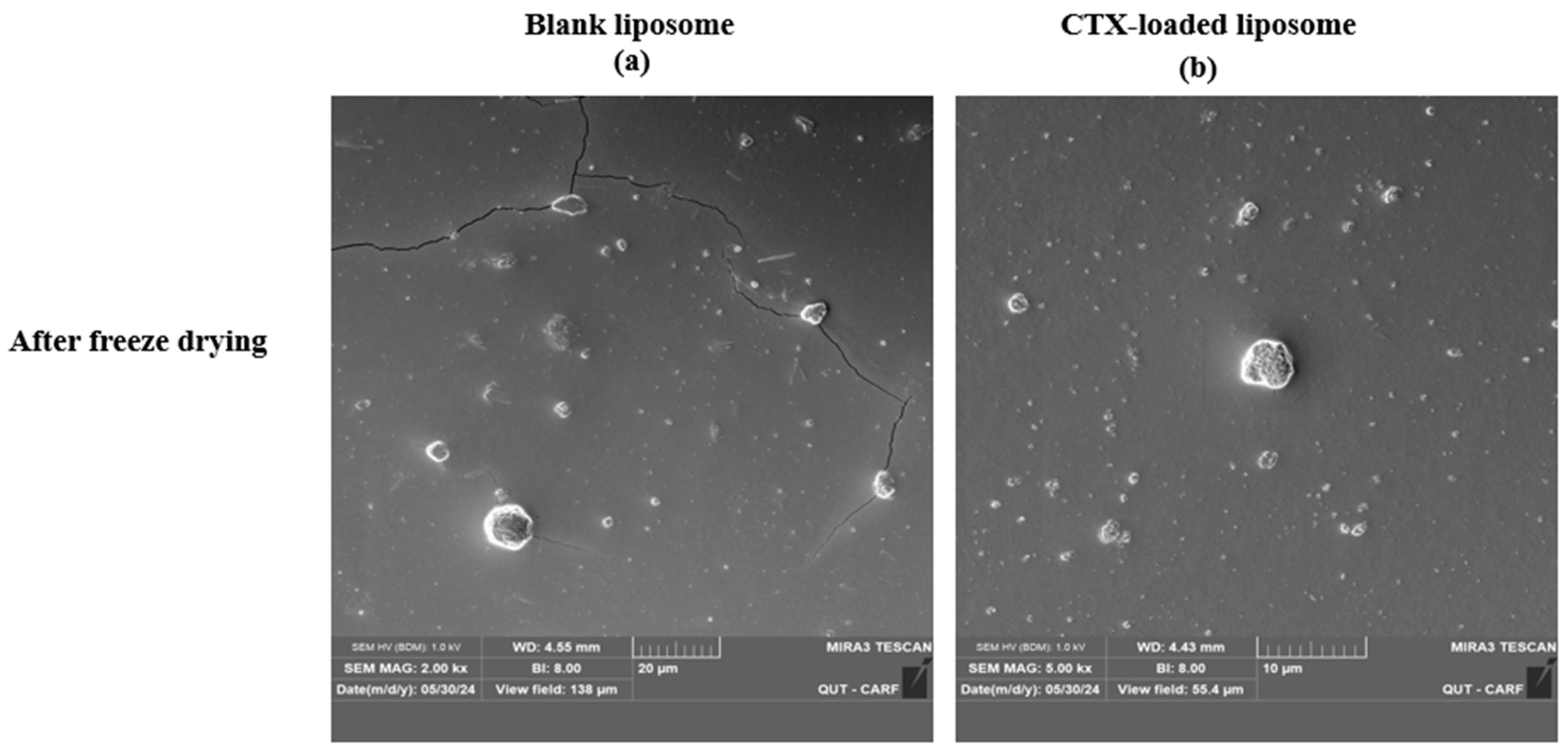 Pharmaceuticals 18 00414 g002