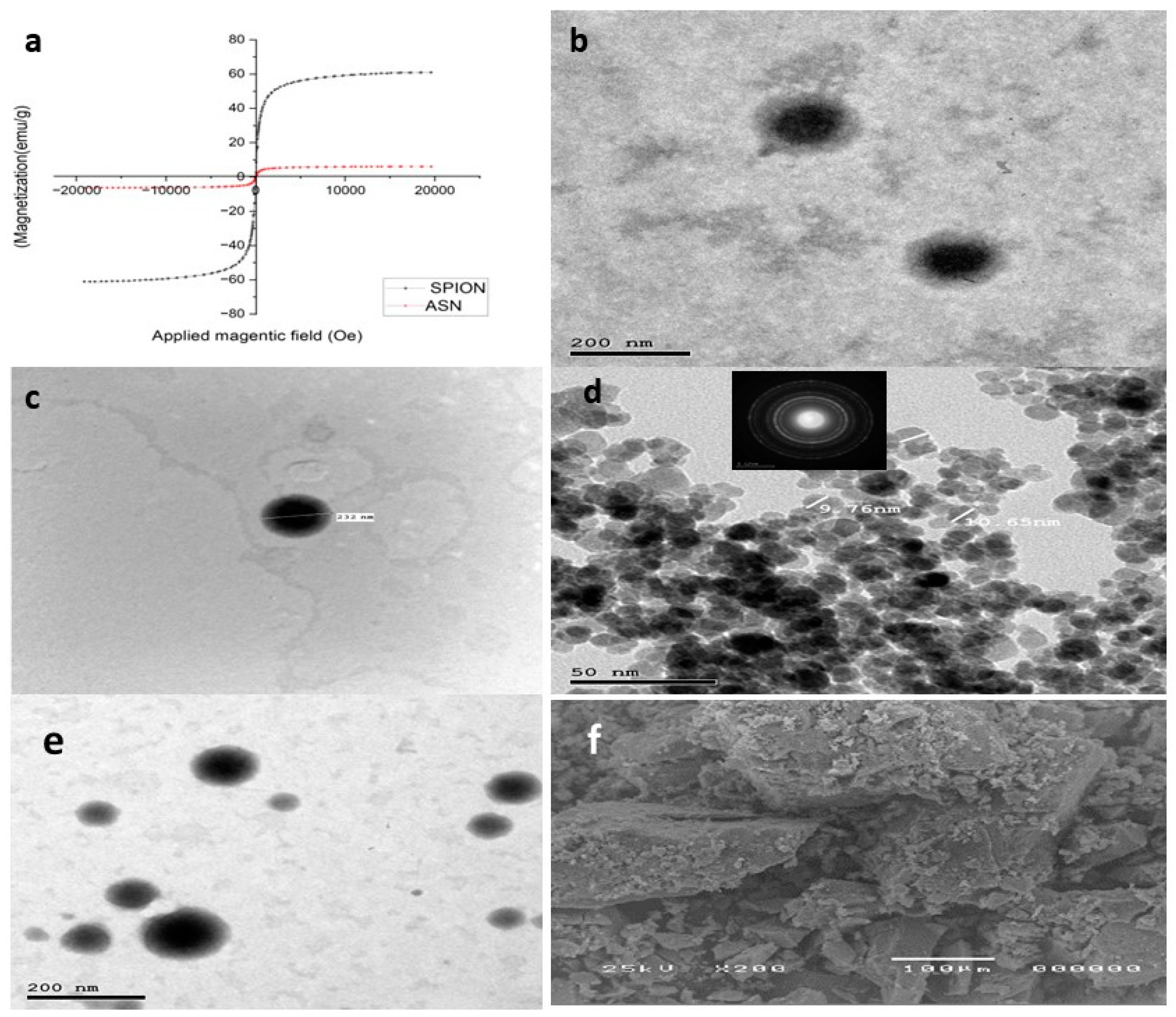 Pharmaceuticals 18 00421 g002