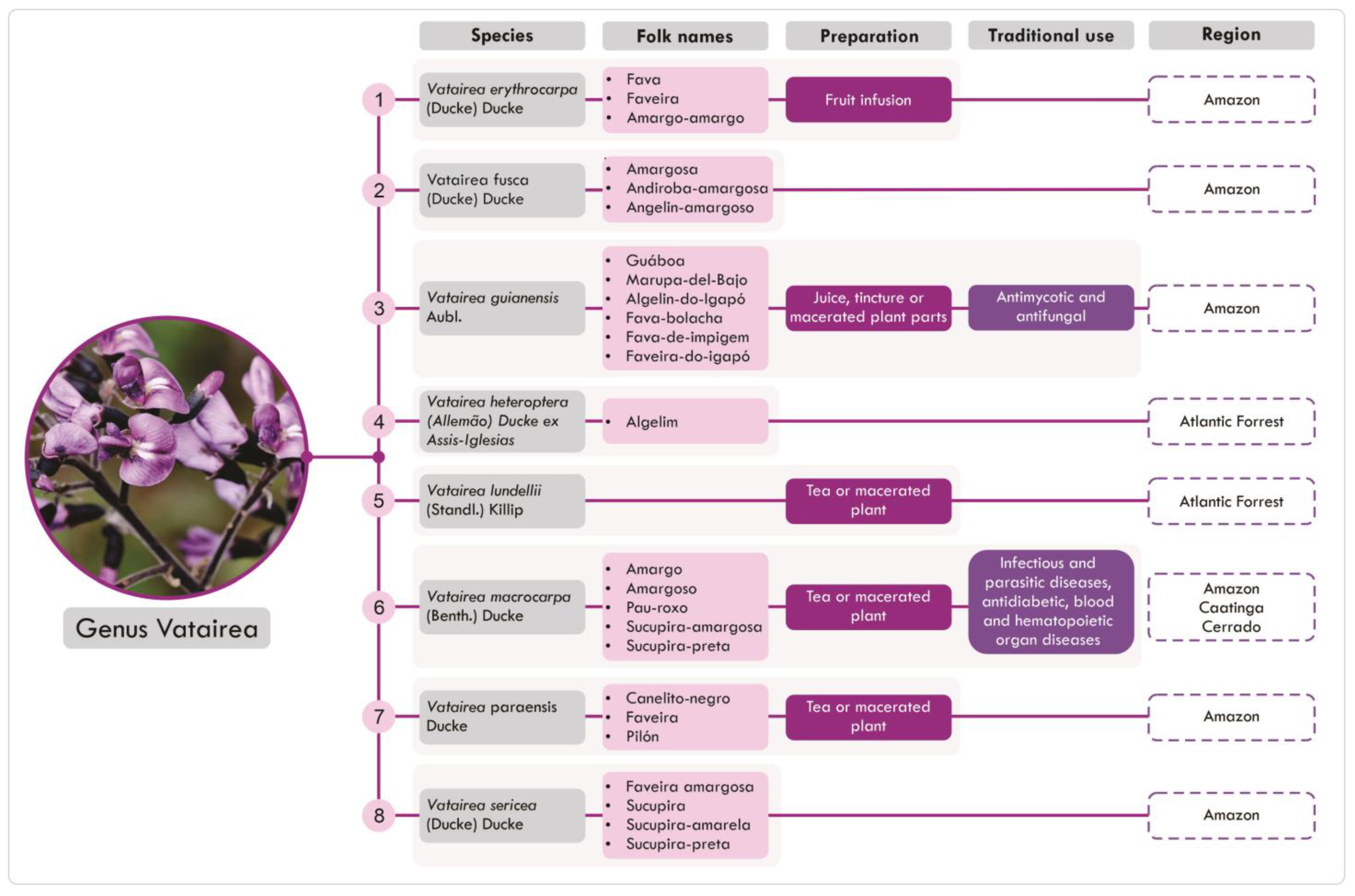 Pharmaceuticals 18 00422 g002