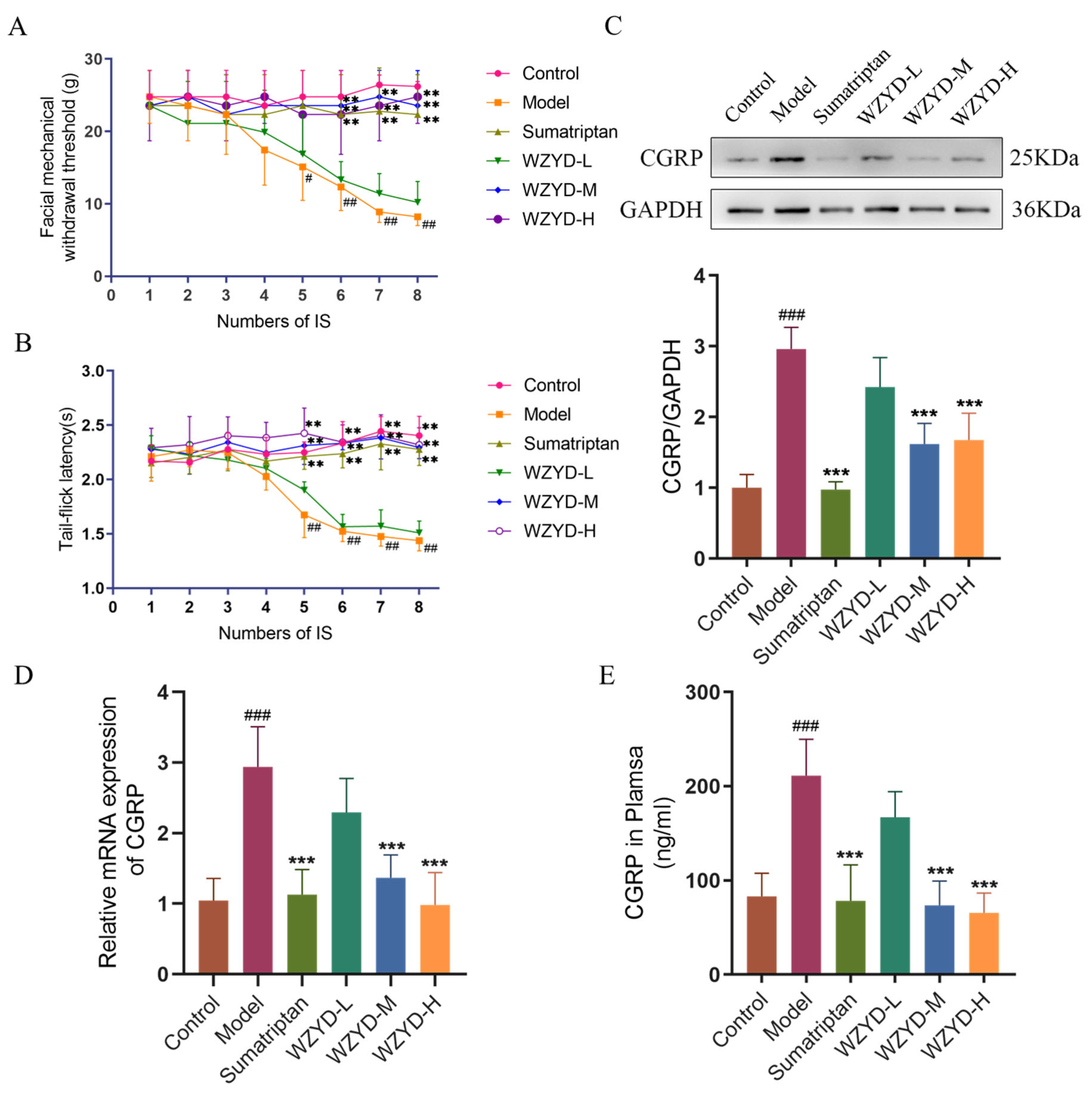 Pharmaceuticals 18 00426 g001