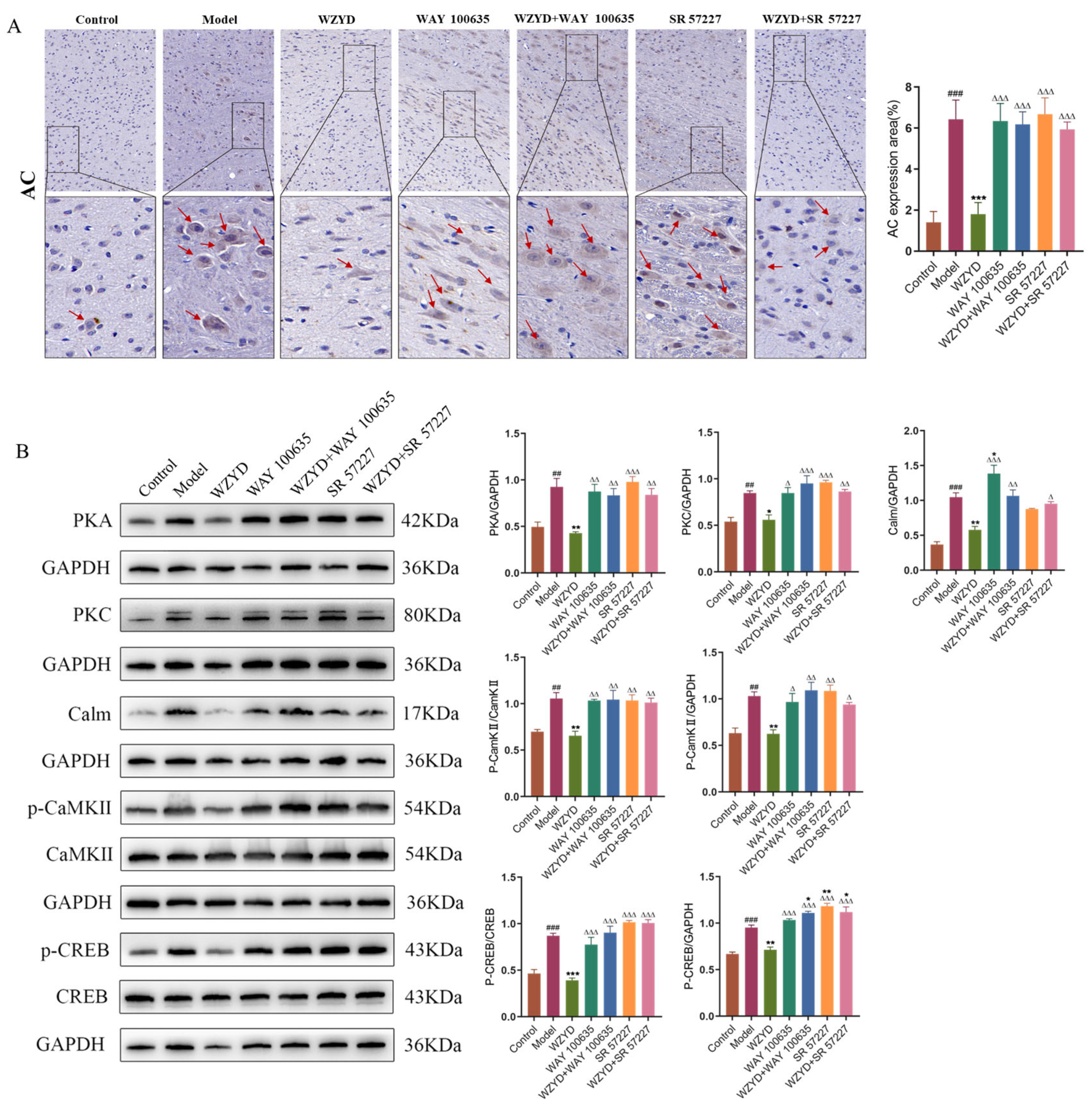 Pharmaceuticals 18 00426 g011