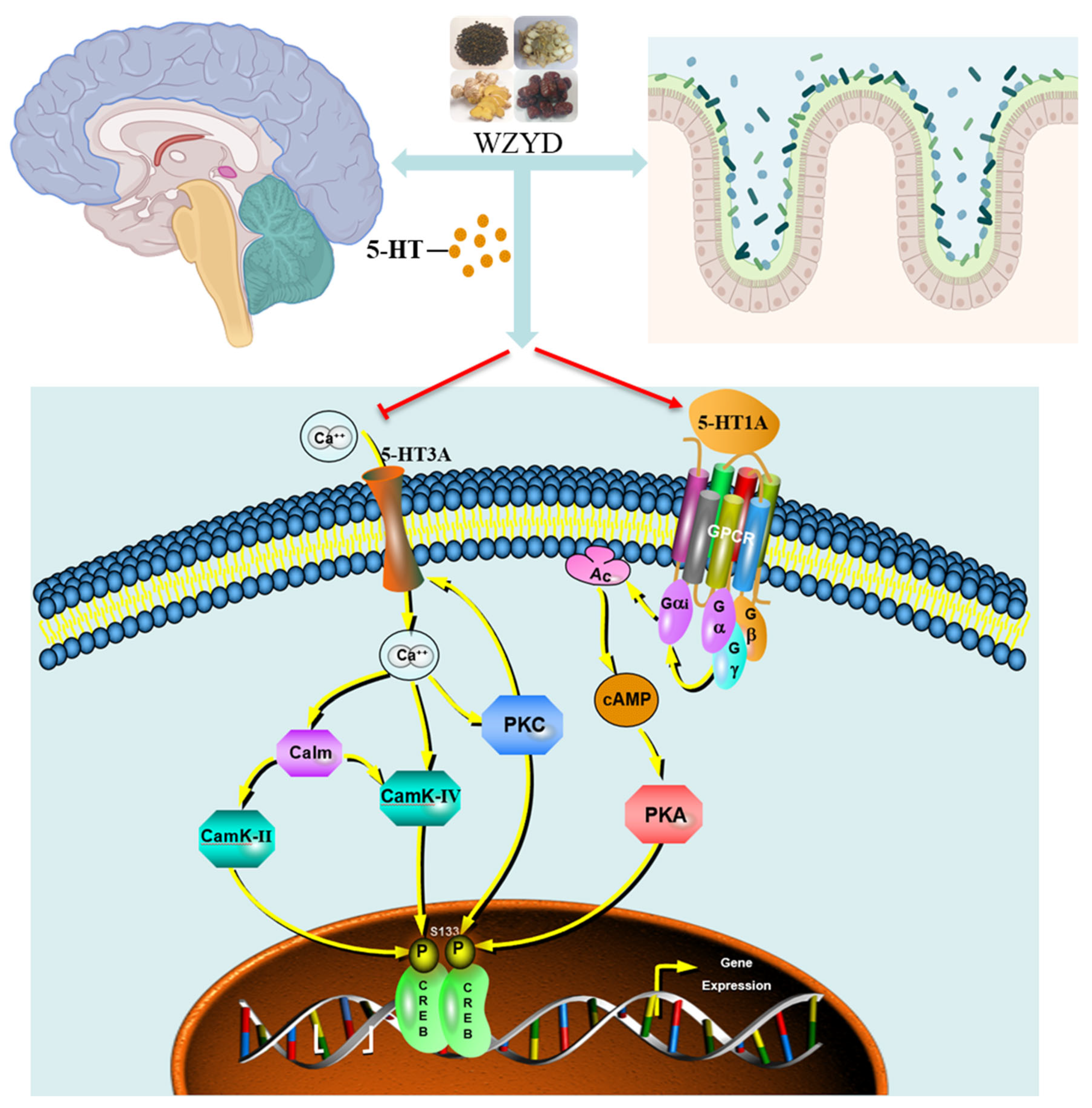 Pharmaceuticals 18 00426 g013