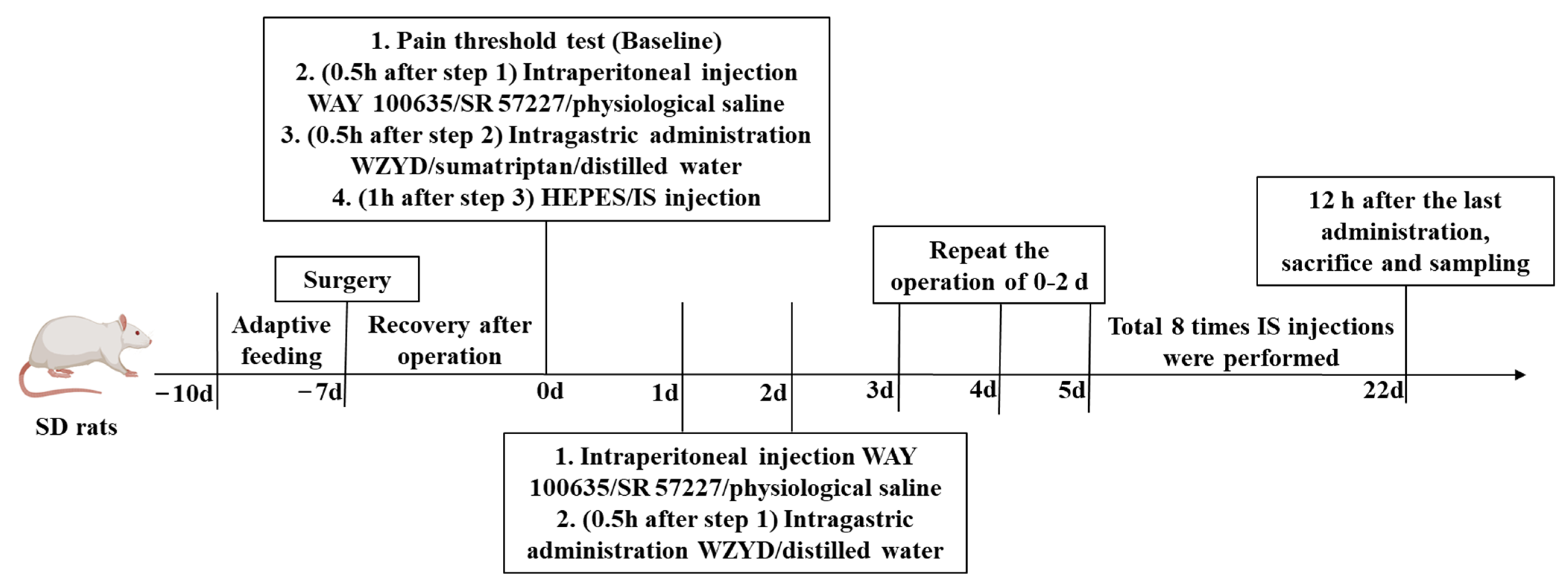 Pharmaceuticals 18 00426 g014