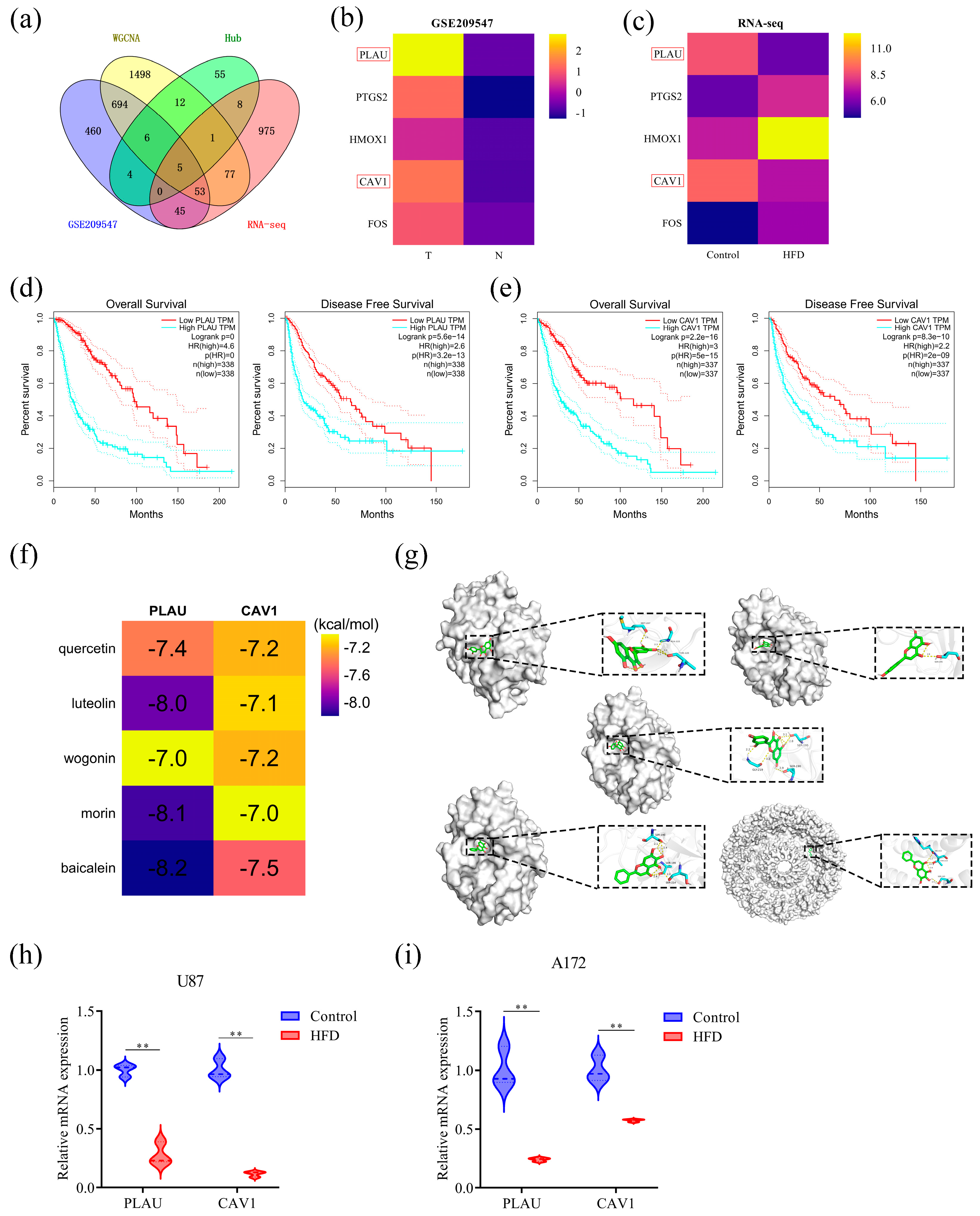 Pharmaceuticals 18 00428 g007