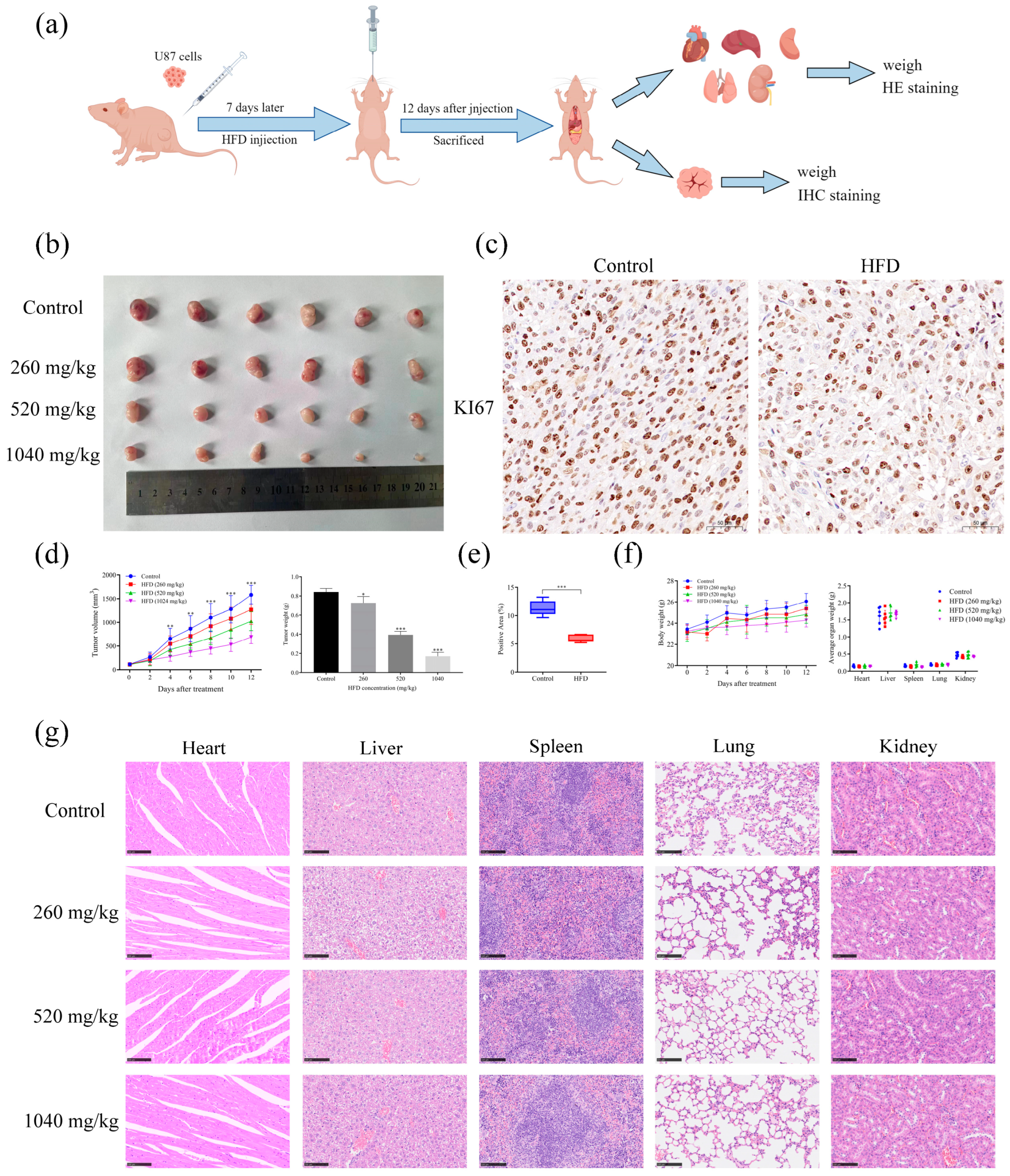 Pharmaceuticals 18 00428 g009