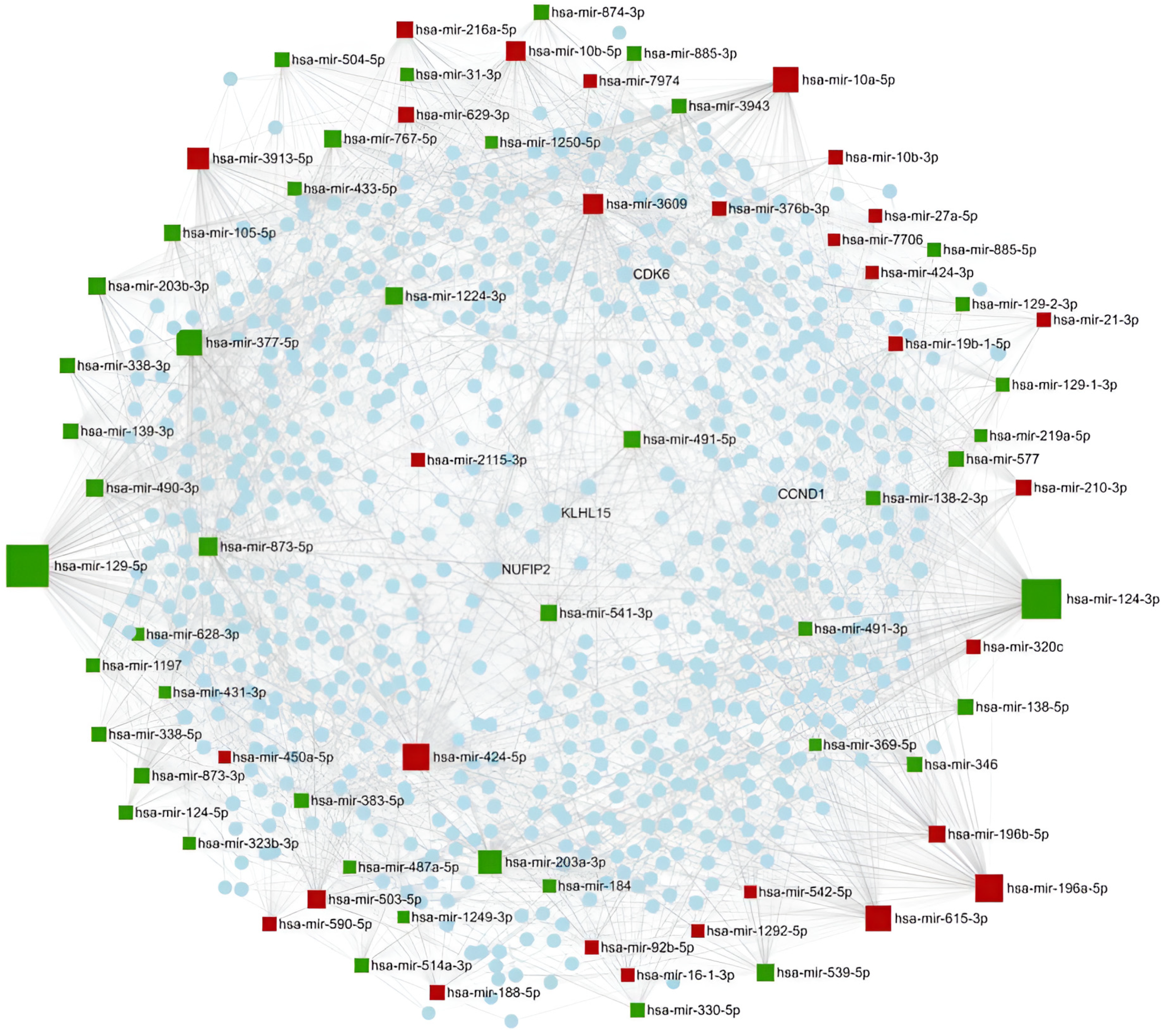 Pharmaceuticals 18 00431 g004 Pharmaceuticals 18 00431 g004