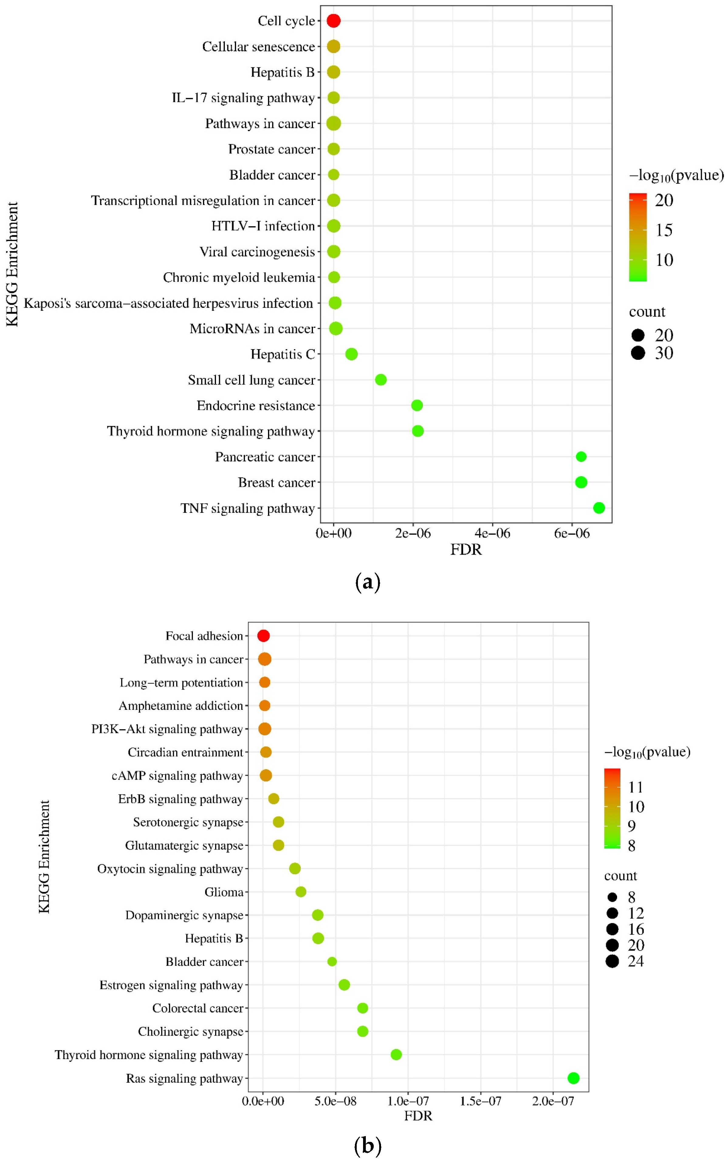 Pharmaceuticals 18 00431 g014 Pharmaceuticals 18 00431 g014