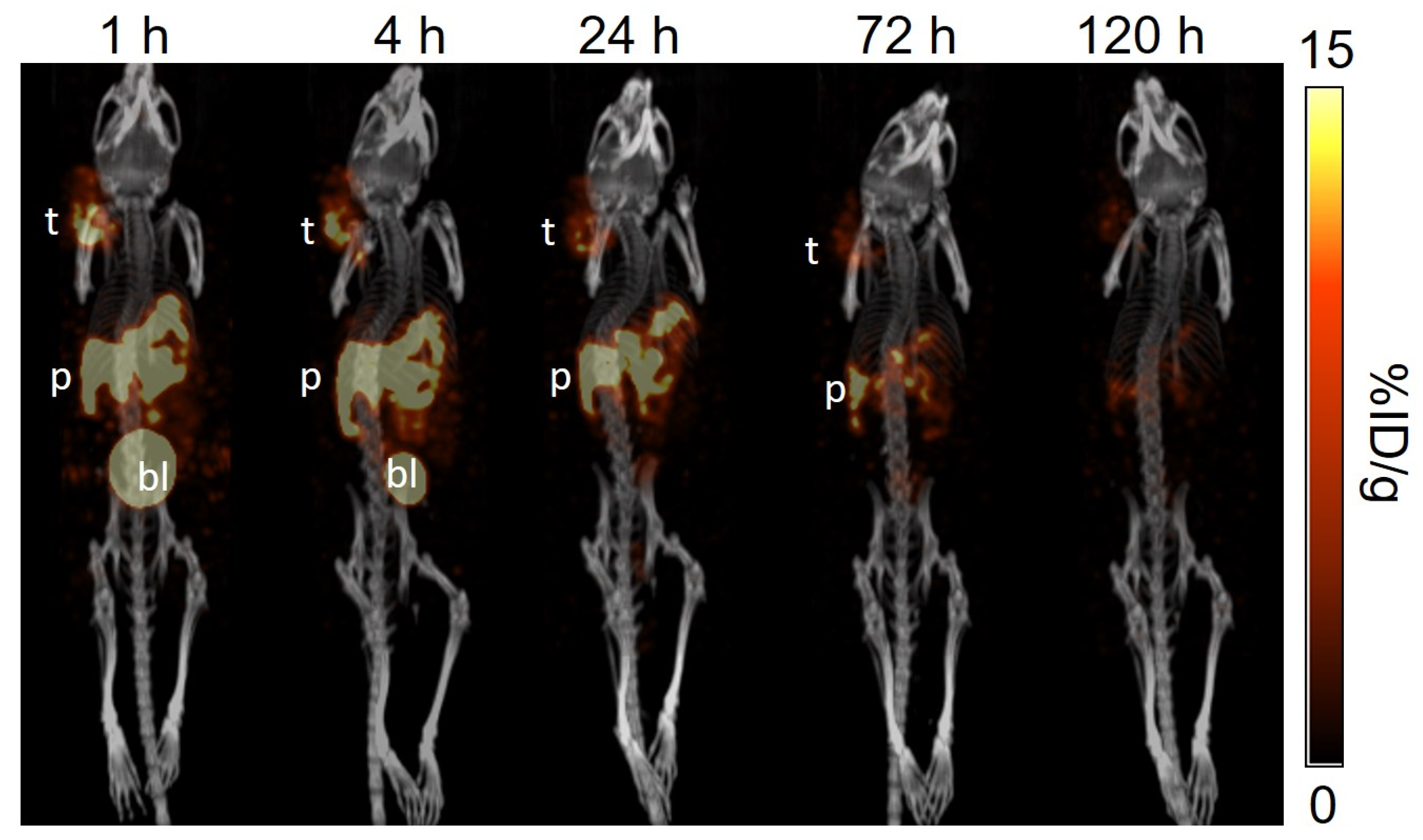 Pharmaceuticals 18 00449 g007