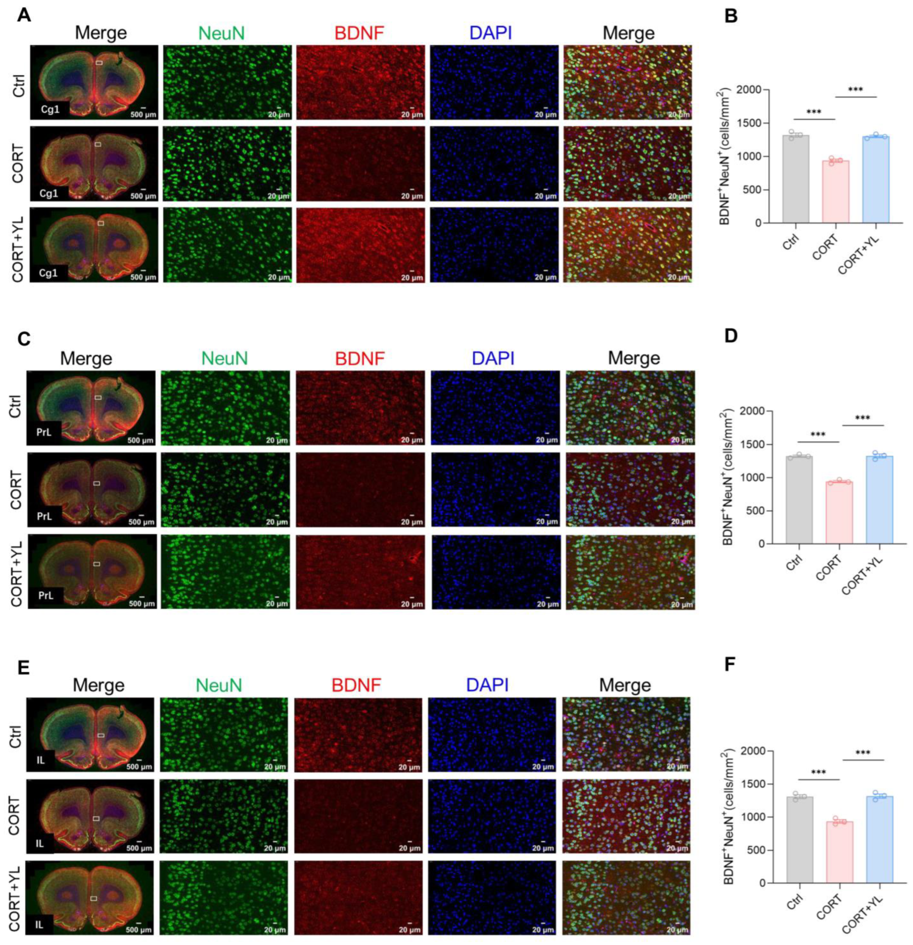 Pharmaceuticals 18 00455 g004