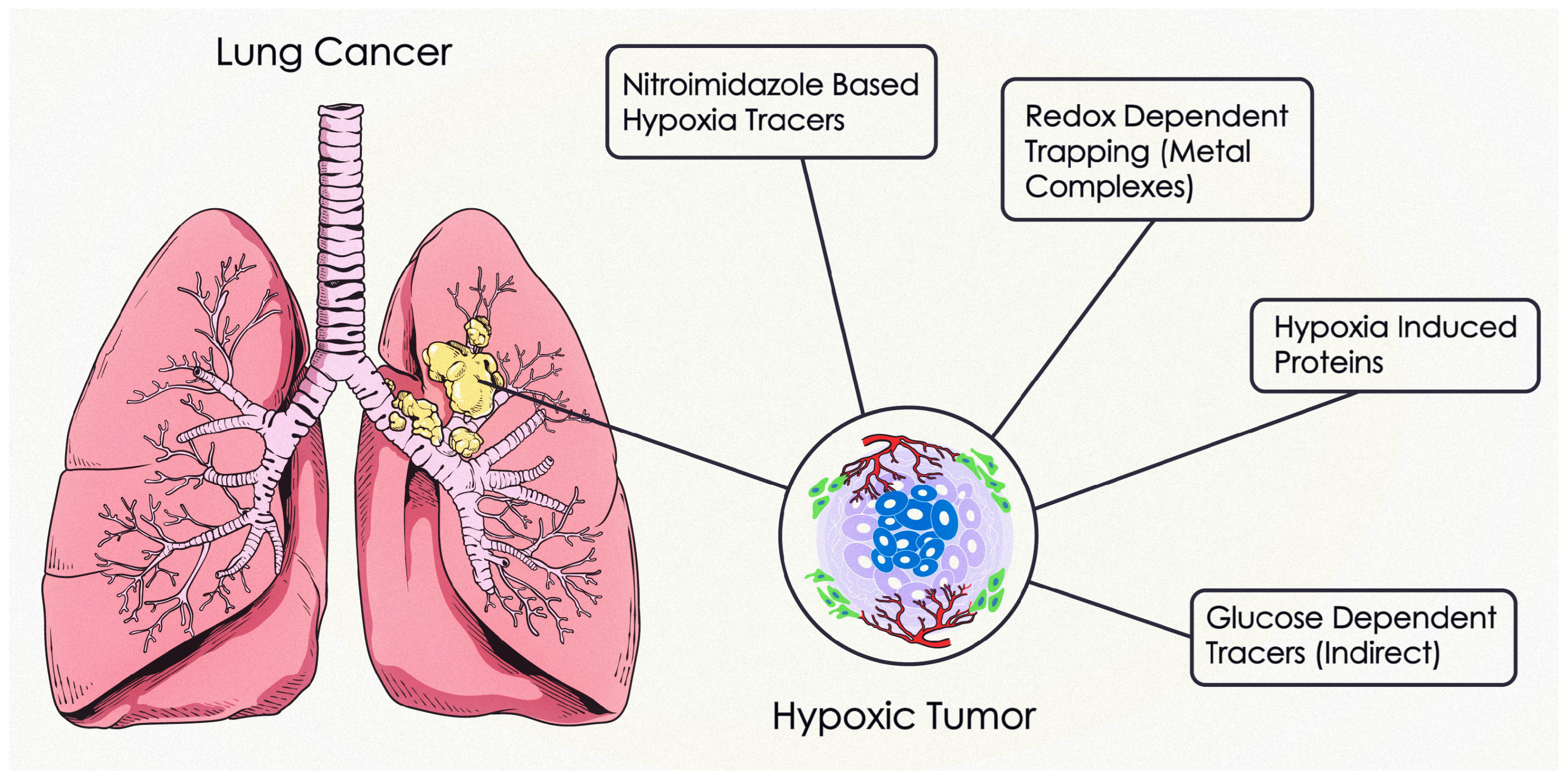 Pharmaceuticals 18 00459 g001
