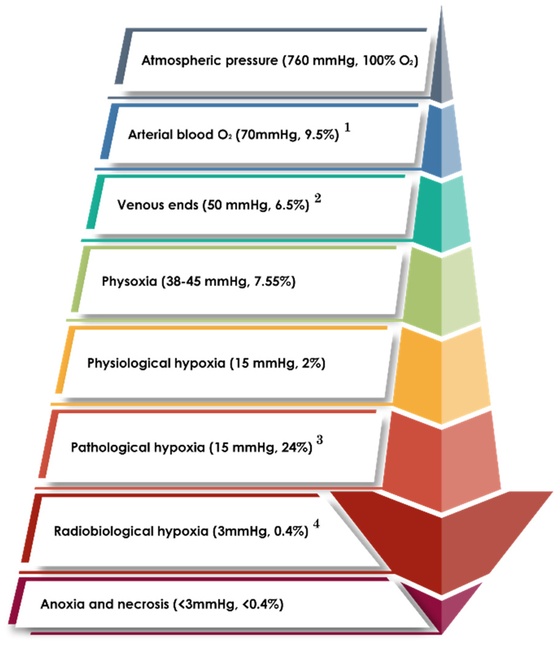 Pharmaceuticals 18 00459 g002