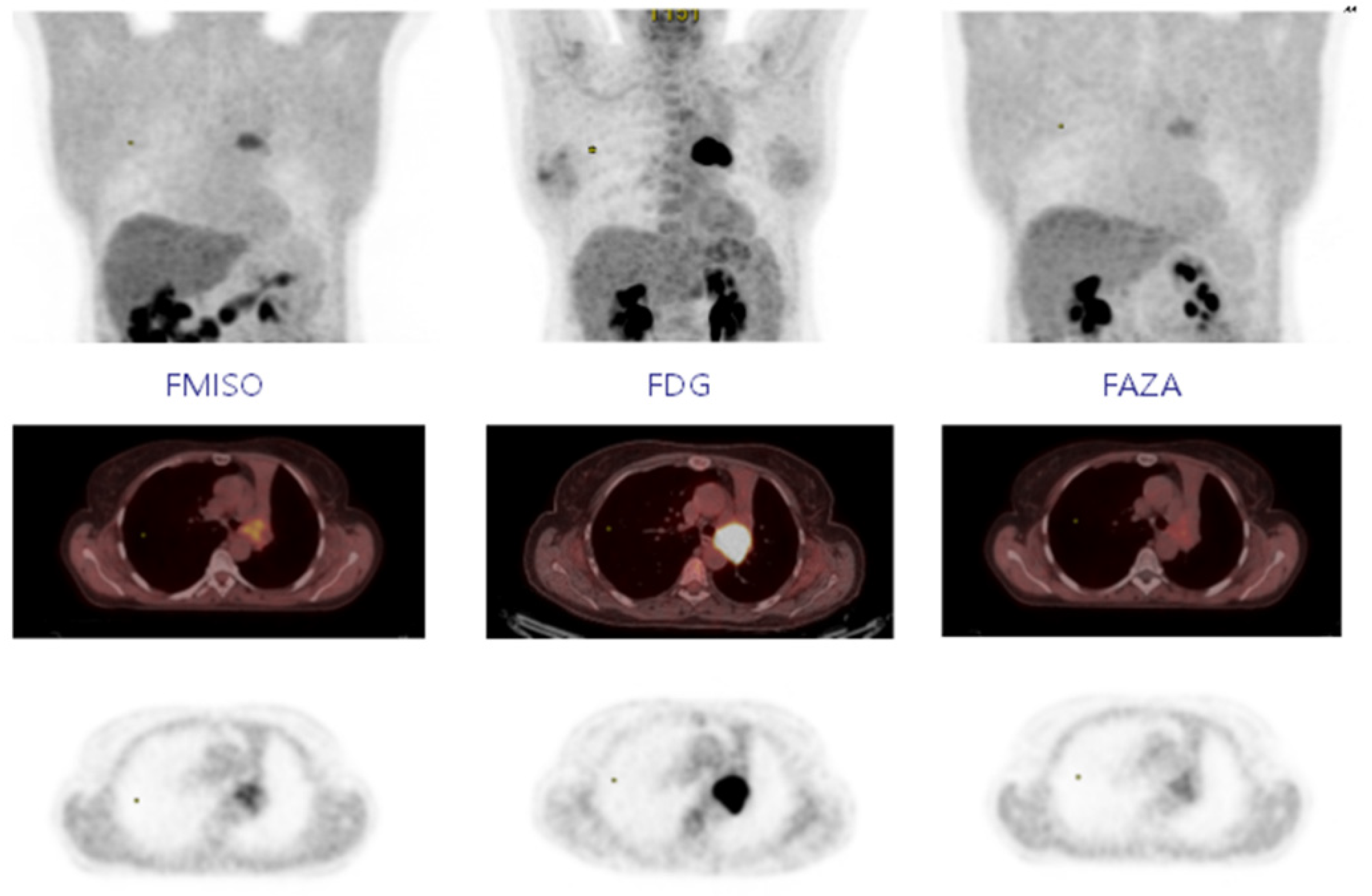 Pharmaceuticals 18 00459 g005