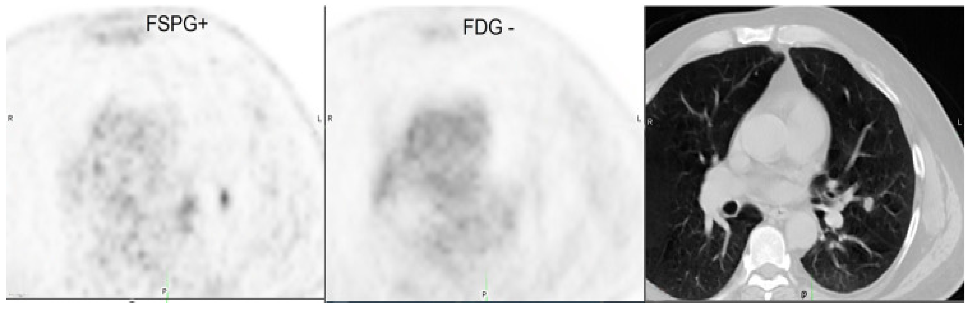 Pharmaceuticals 18 00459 g007