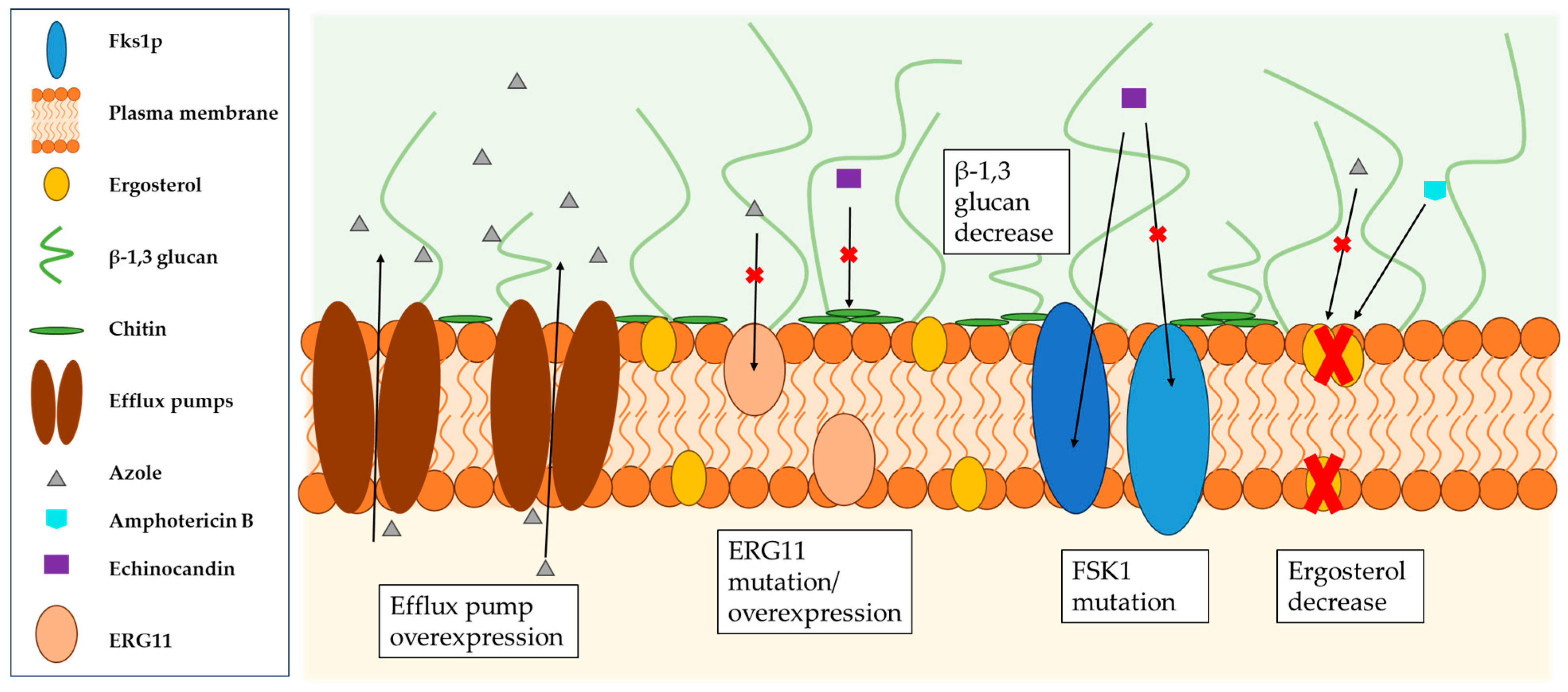Pharmaceuticals 18 00460 g002