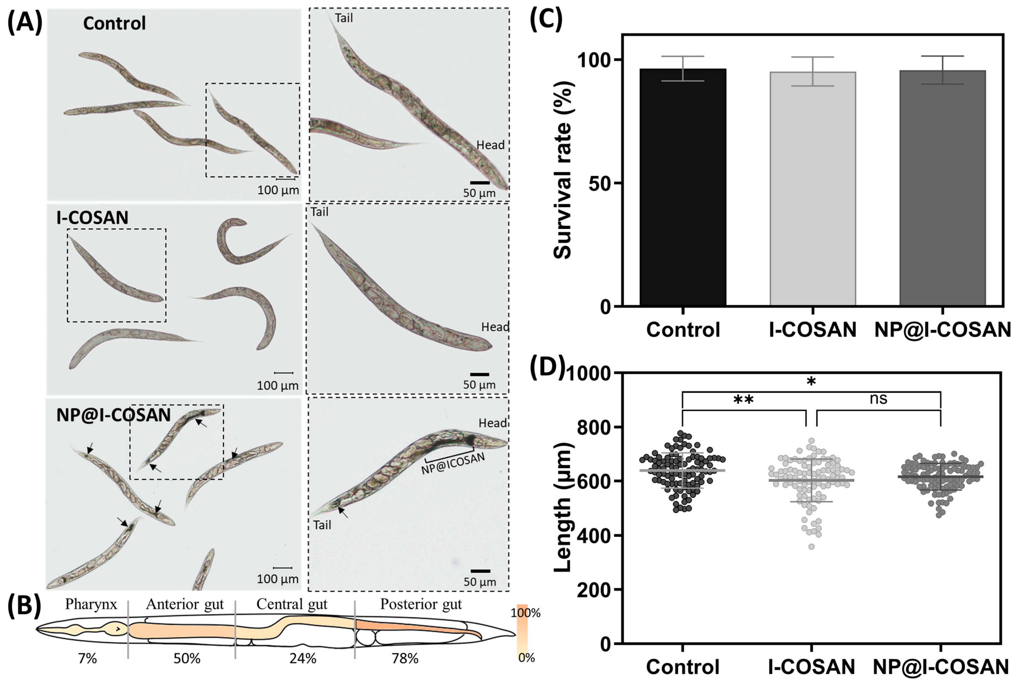 Pharmaceuticals 18 00466 g003