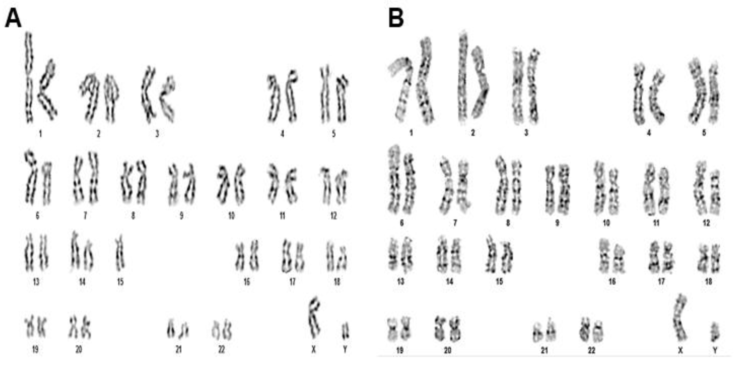 Pharmaceuticals 18 00483 g007